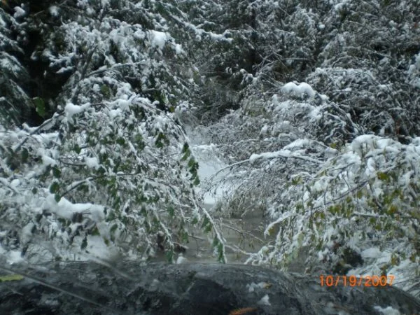 7barlow.trail3.webp