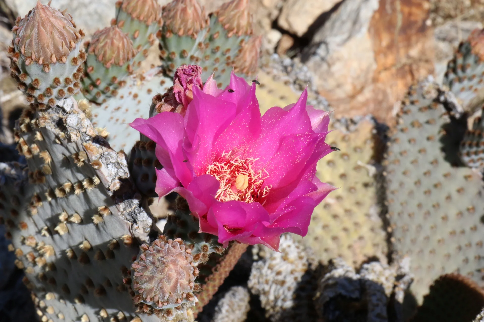 7D_01899-Small.webp