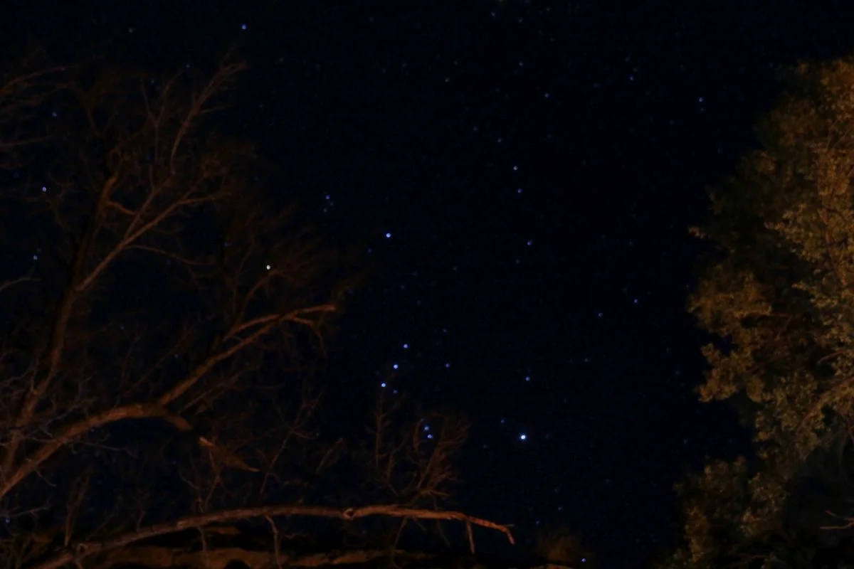 7D_13493-small.webp