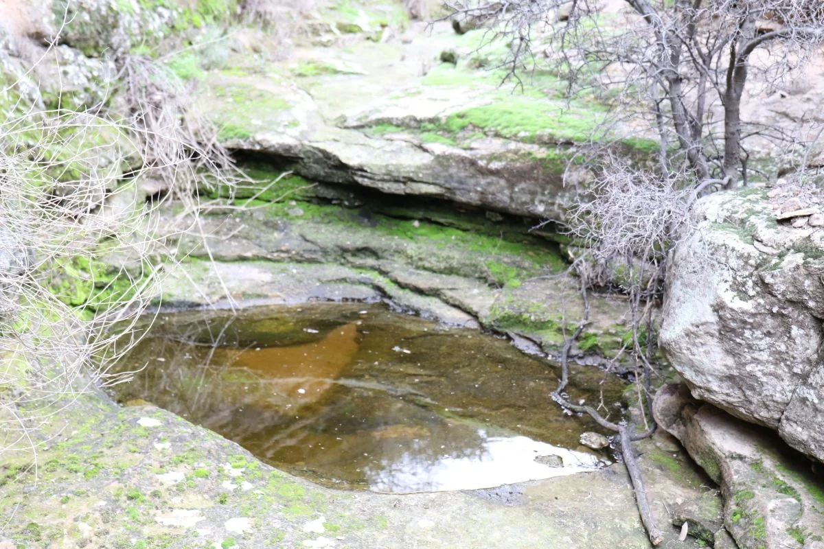 7D_13520-small.webp