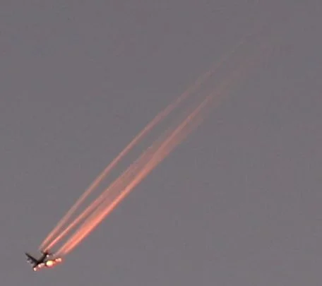 7D_22670 Cropped.webp