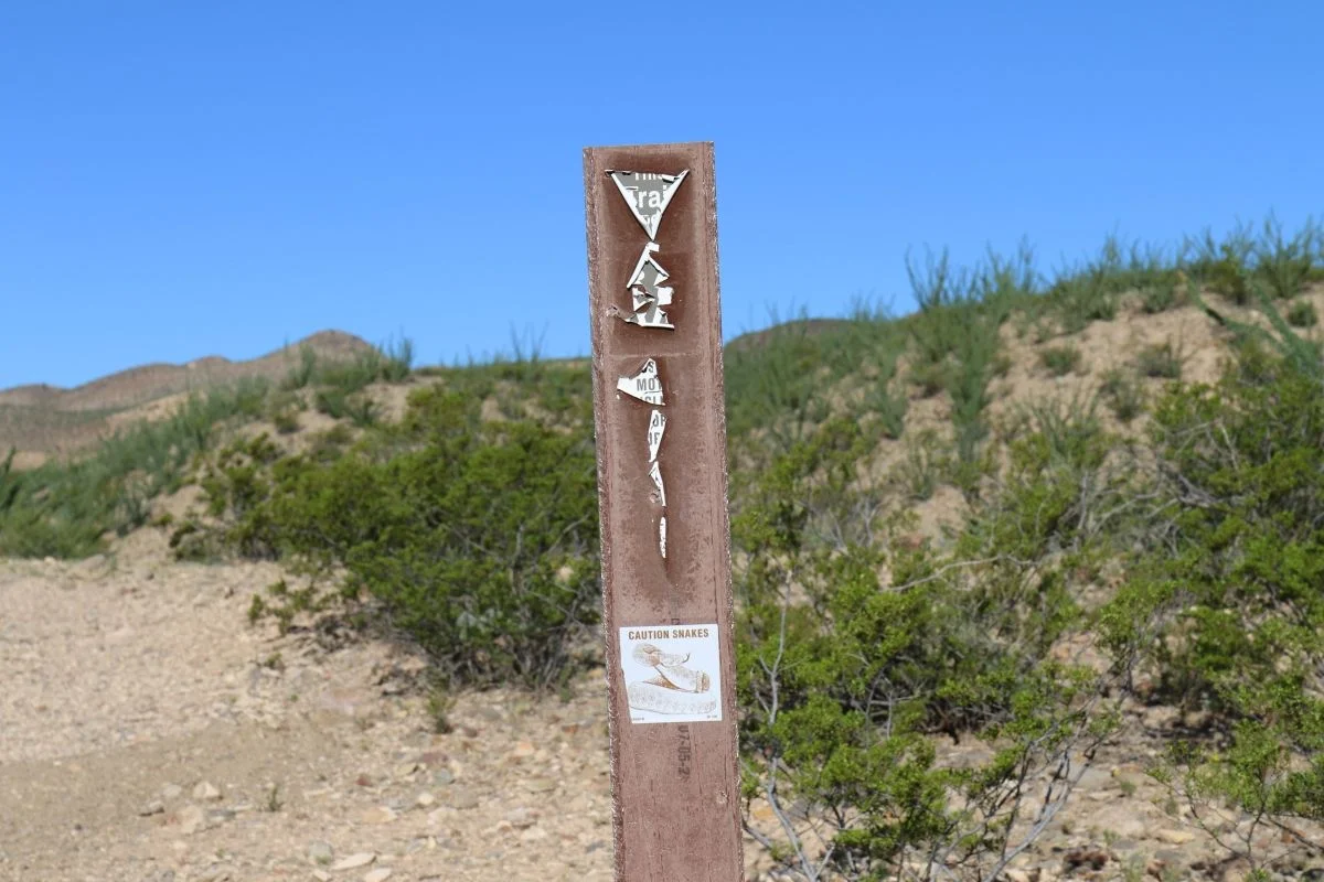 7D_31537-small.webp