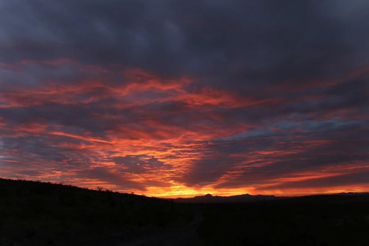 7D_40591-Small.webp