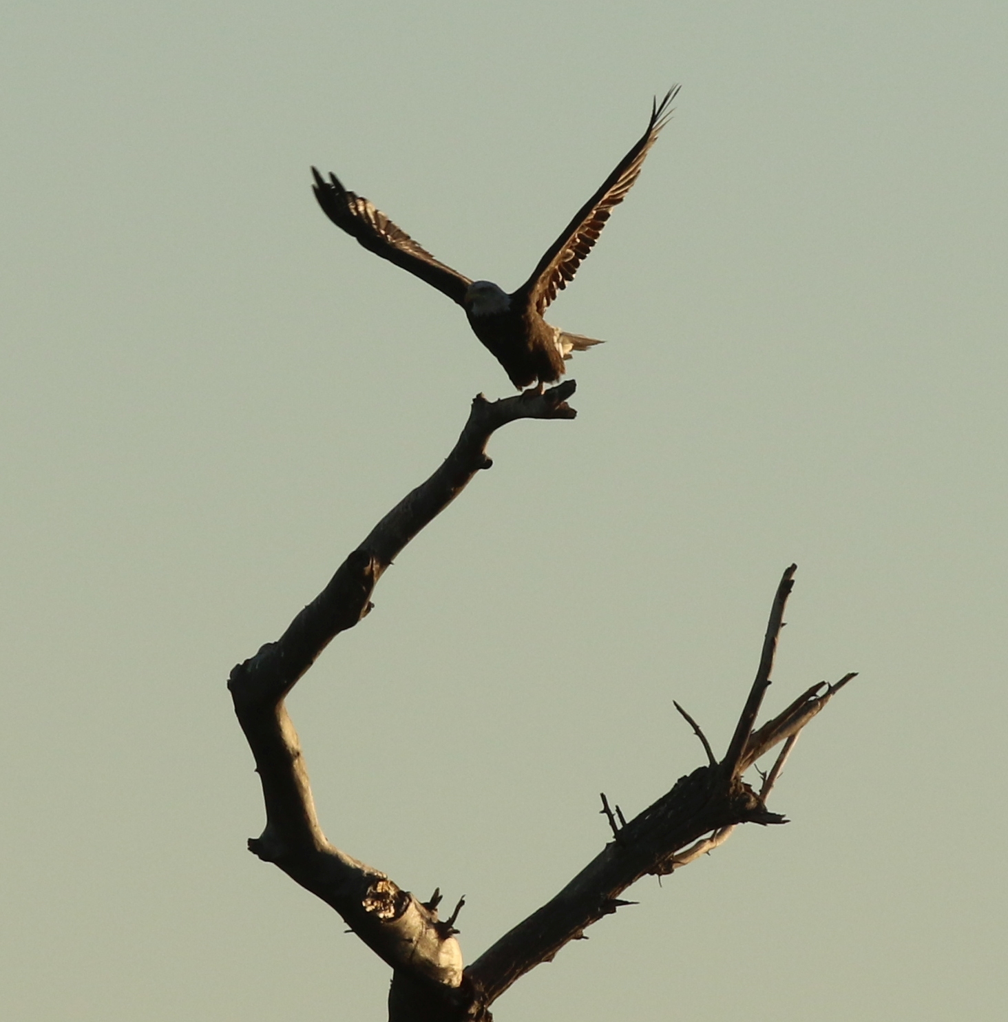 7D_41595c.jpg