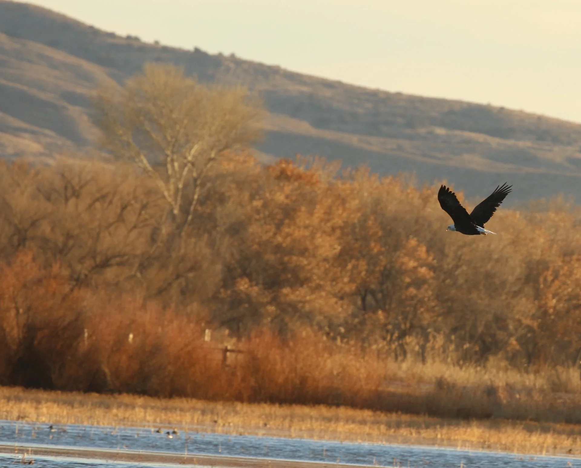 7D_41610c.webp