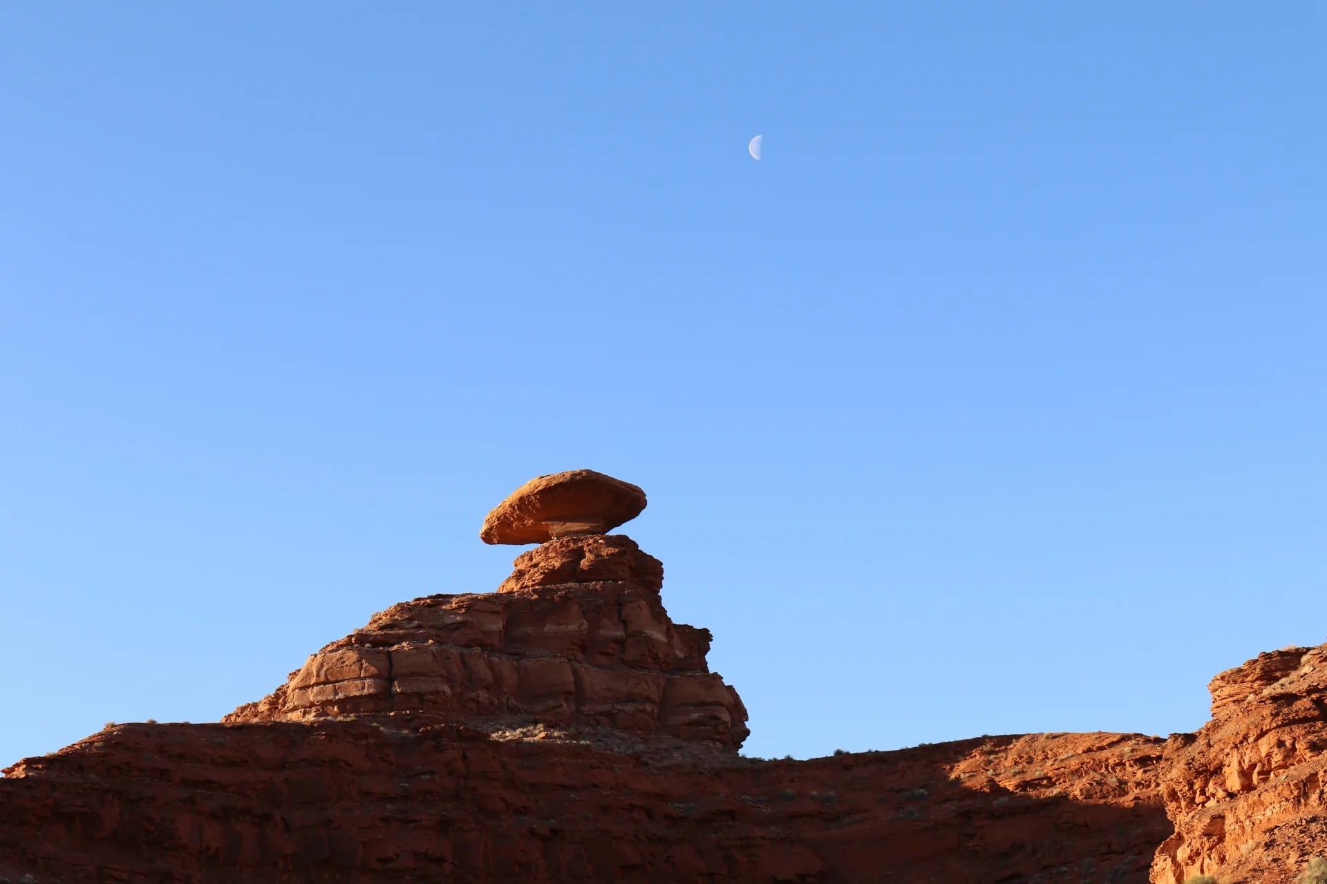 7D_42314-Small.webp