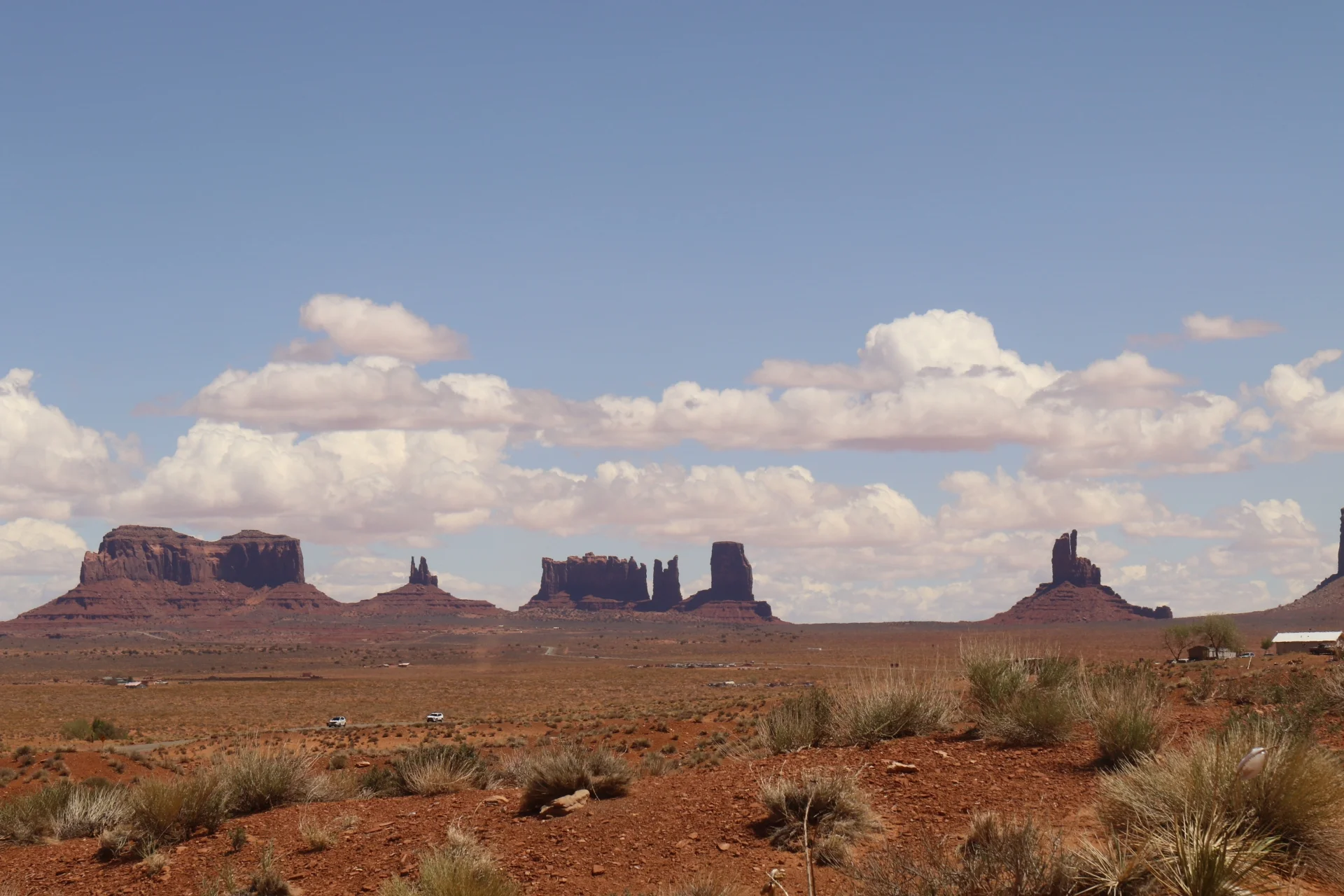 7D_42530-Small.webp