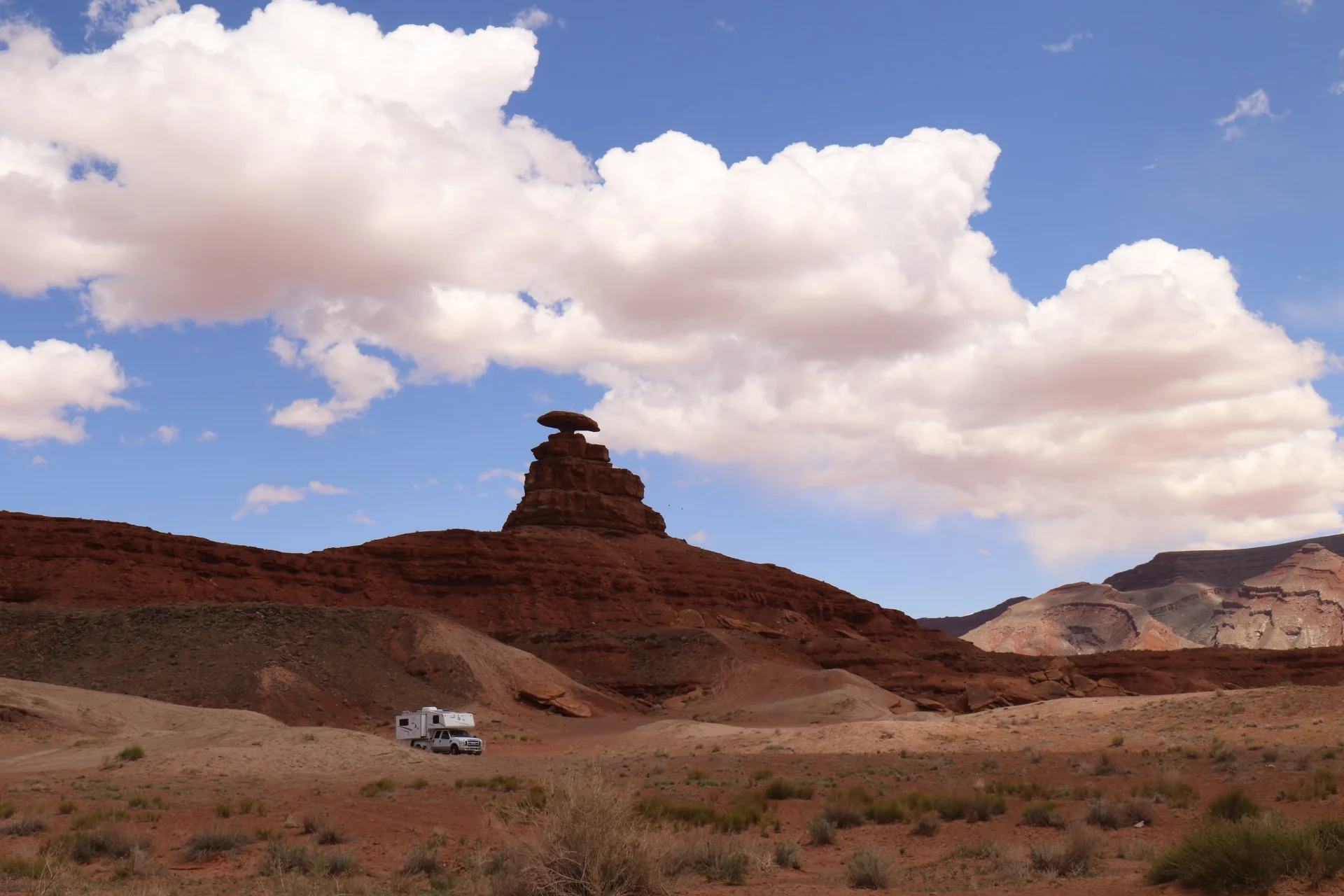 7D_42550-Small.webp