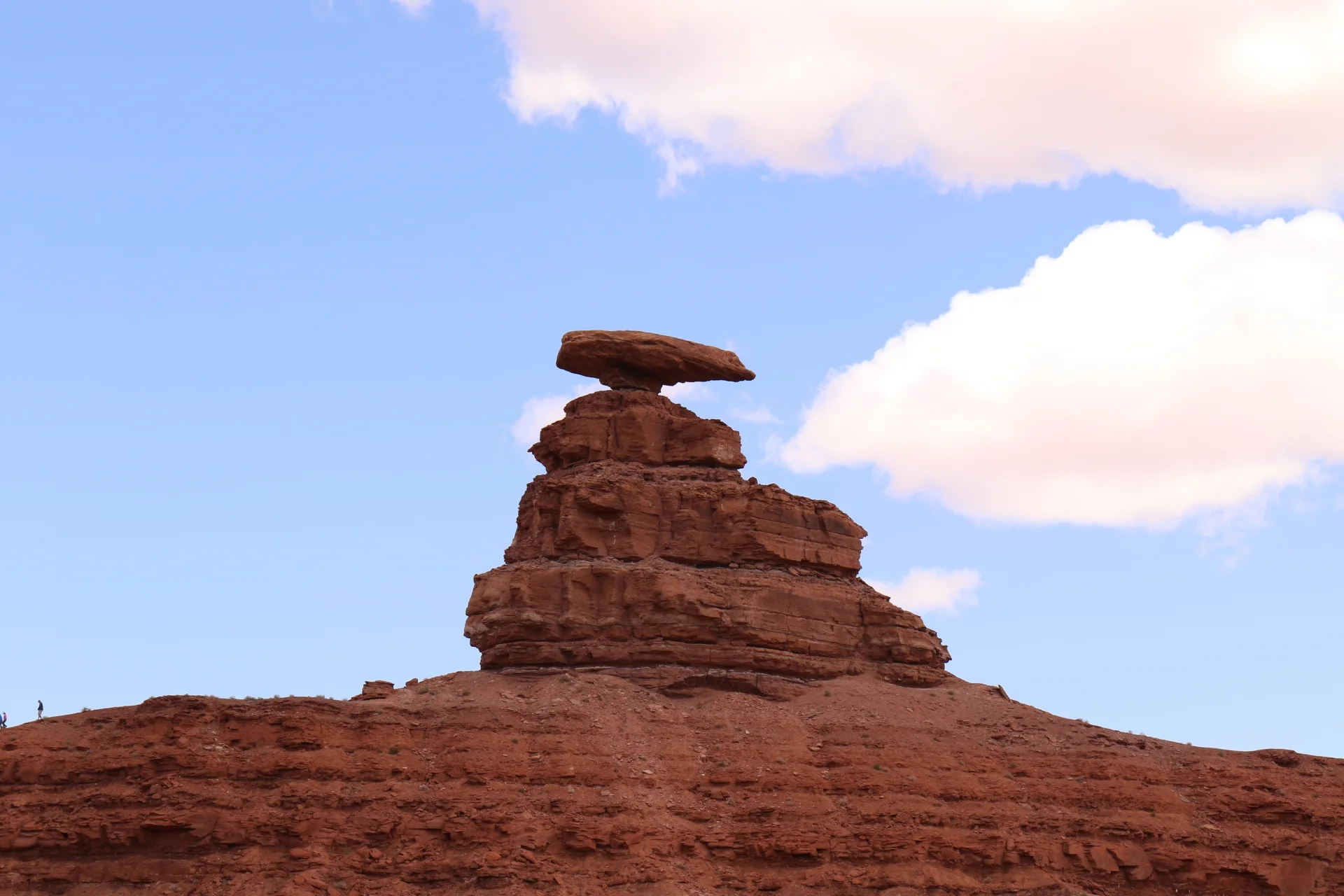 7D_42558-Small.webp