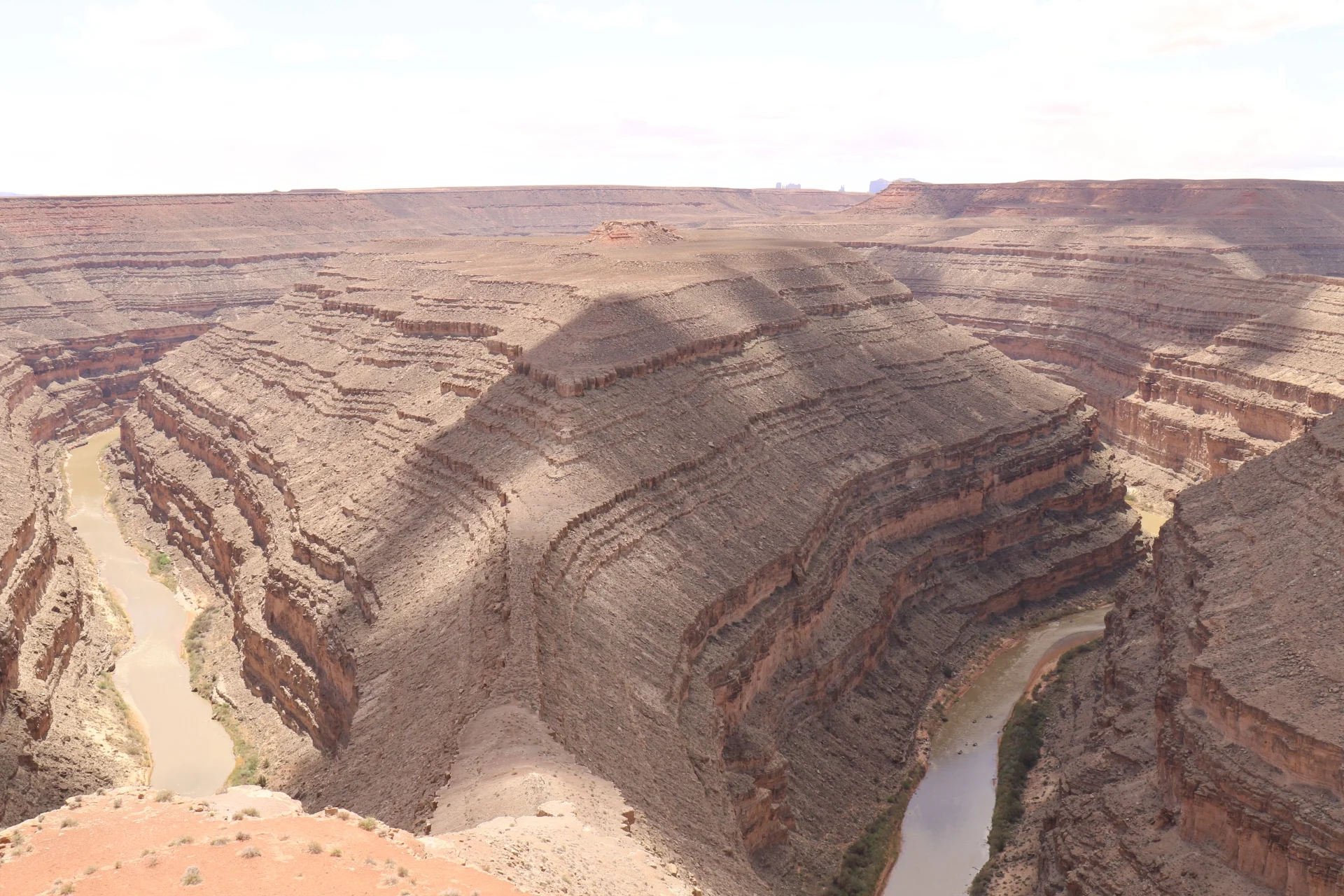 7D_42587-Small.webp