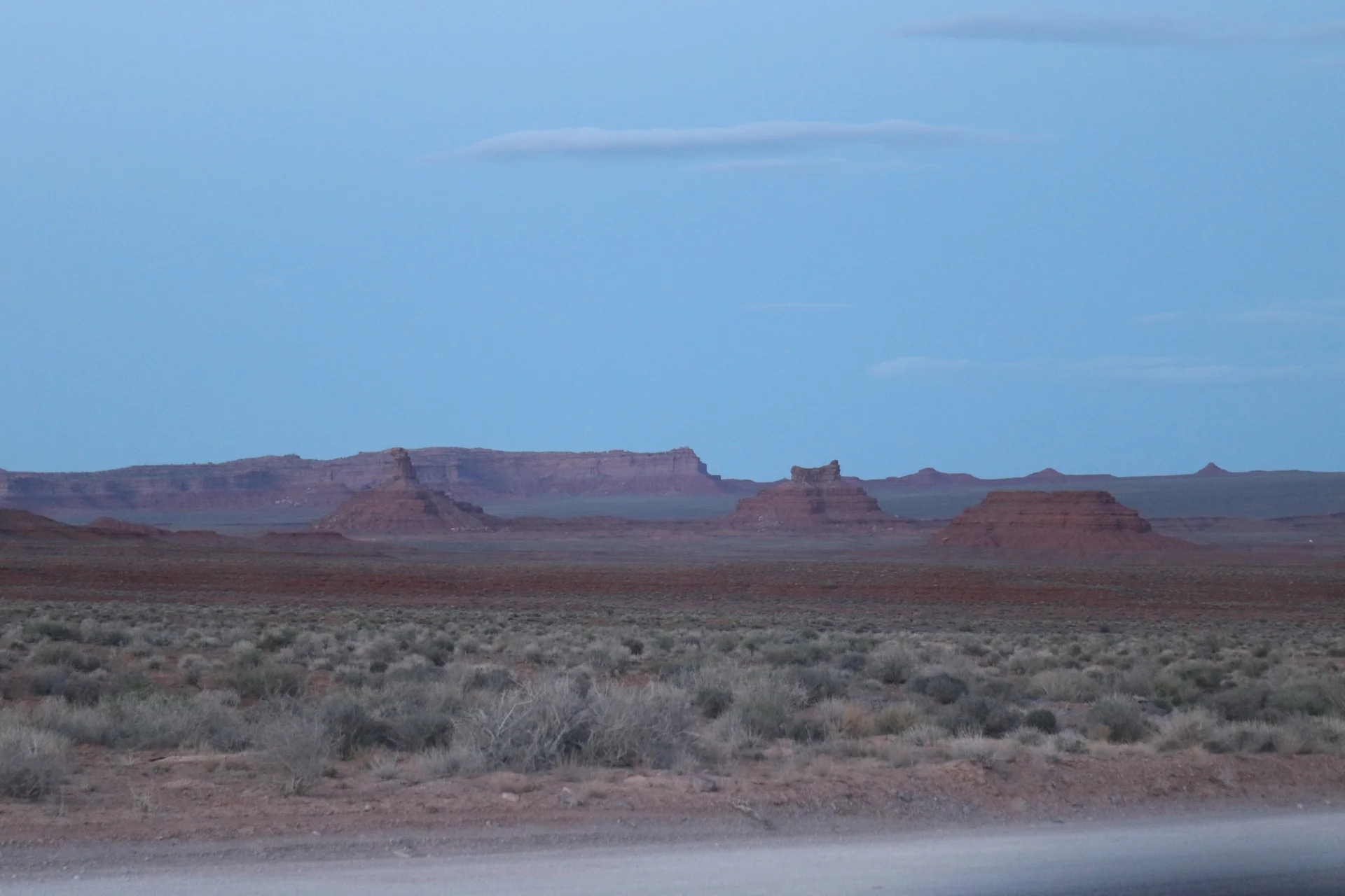 7D_42619-Small.webp
