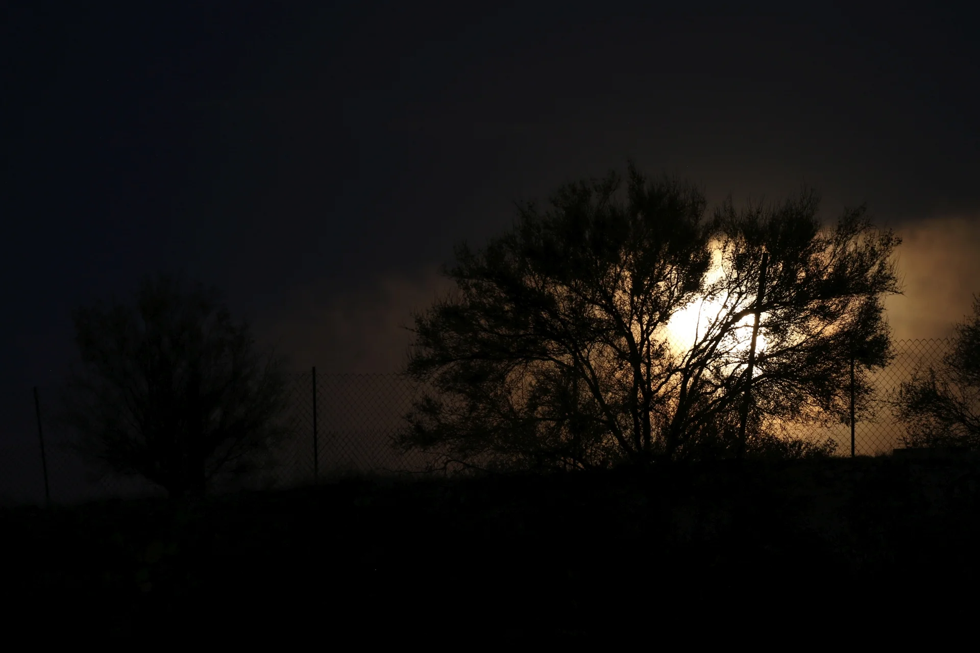 7D_42942-Small.webp