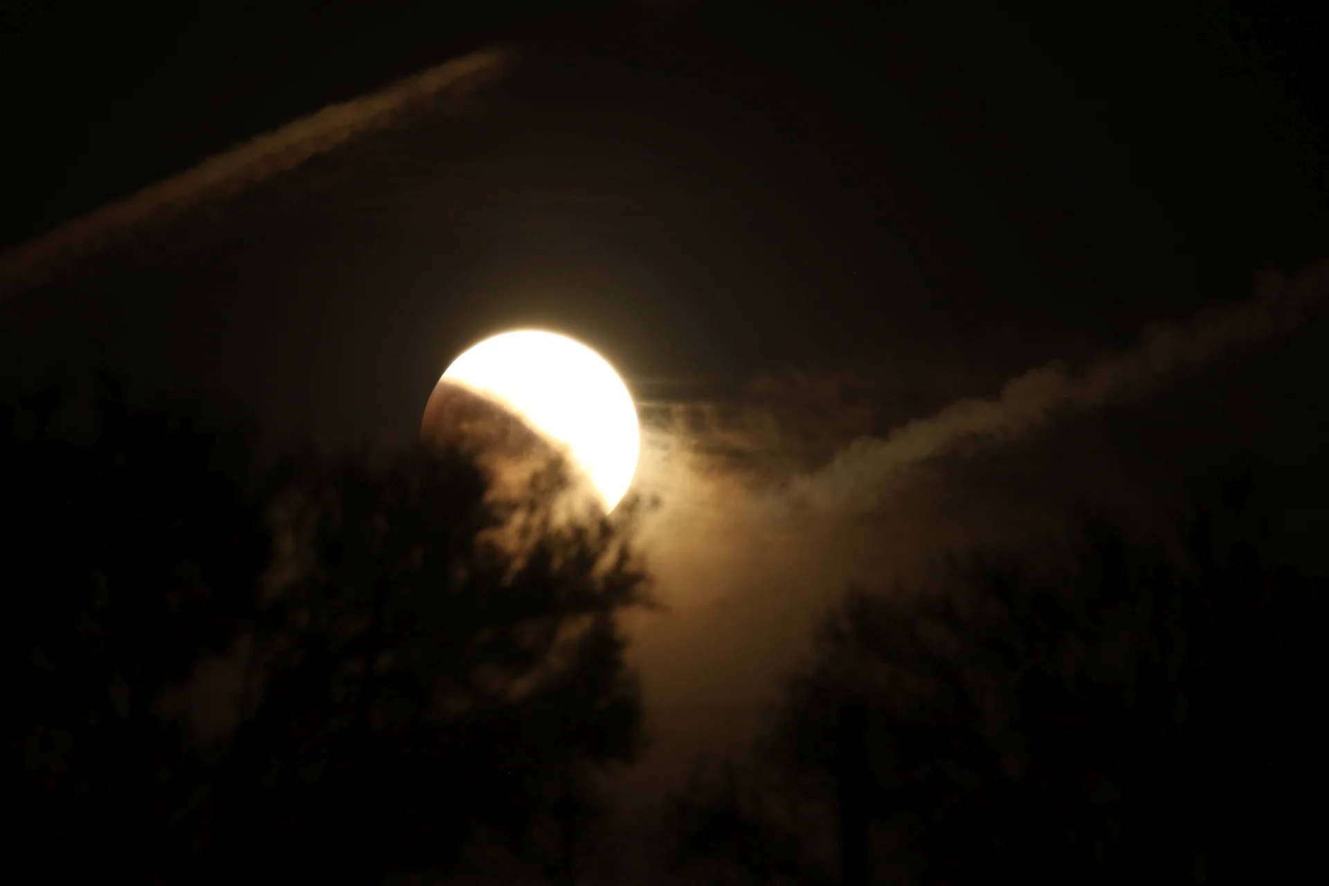 7D_42953-Small.webp