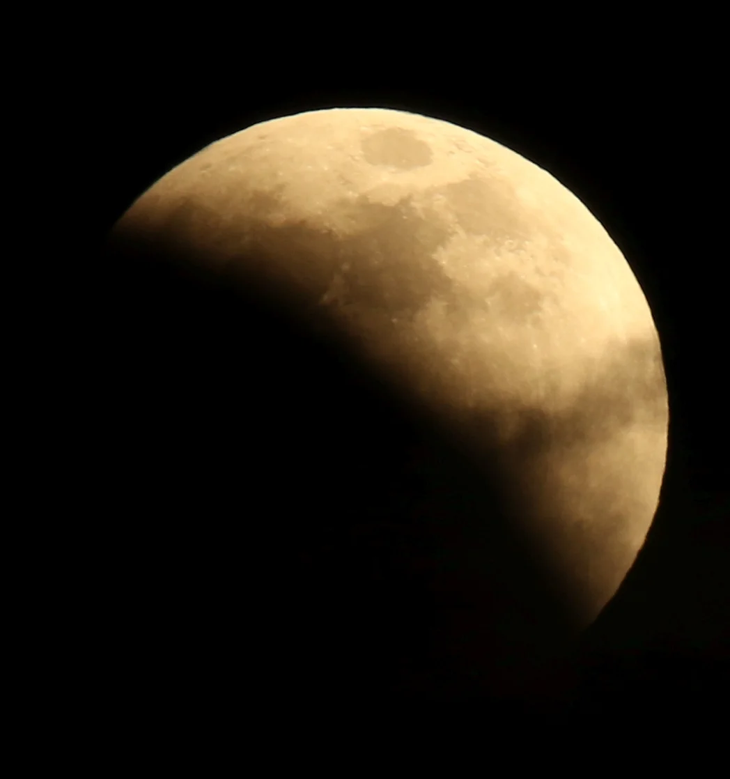 7D_42956C.webp