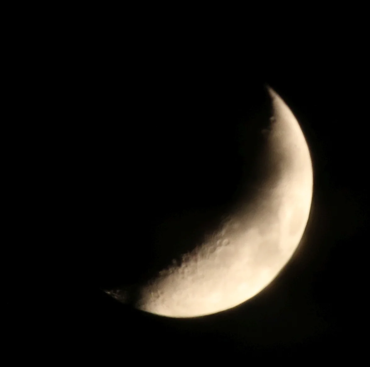 7D_43544 Cropped.webp