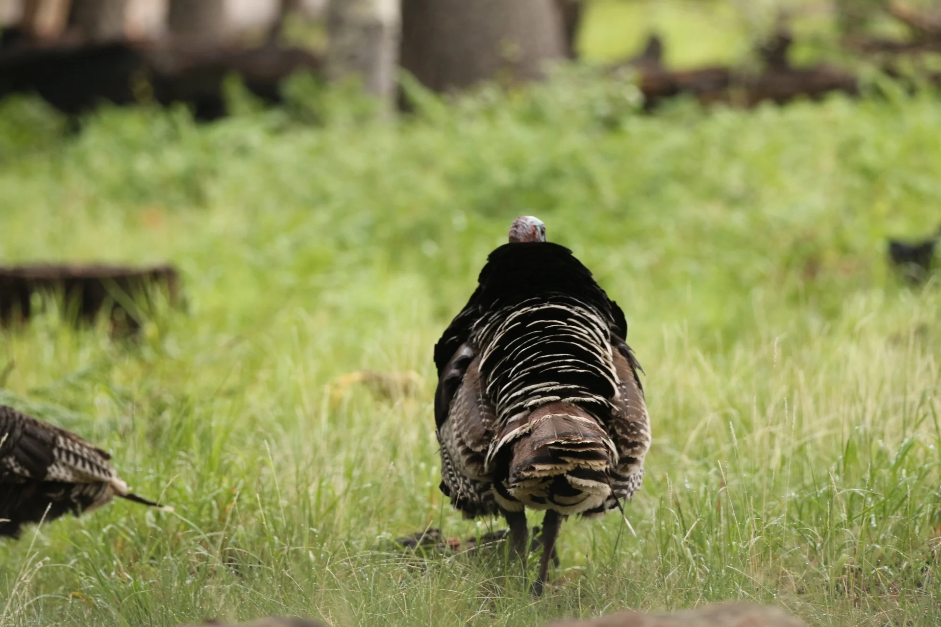 7D_43579-Small.webp