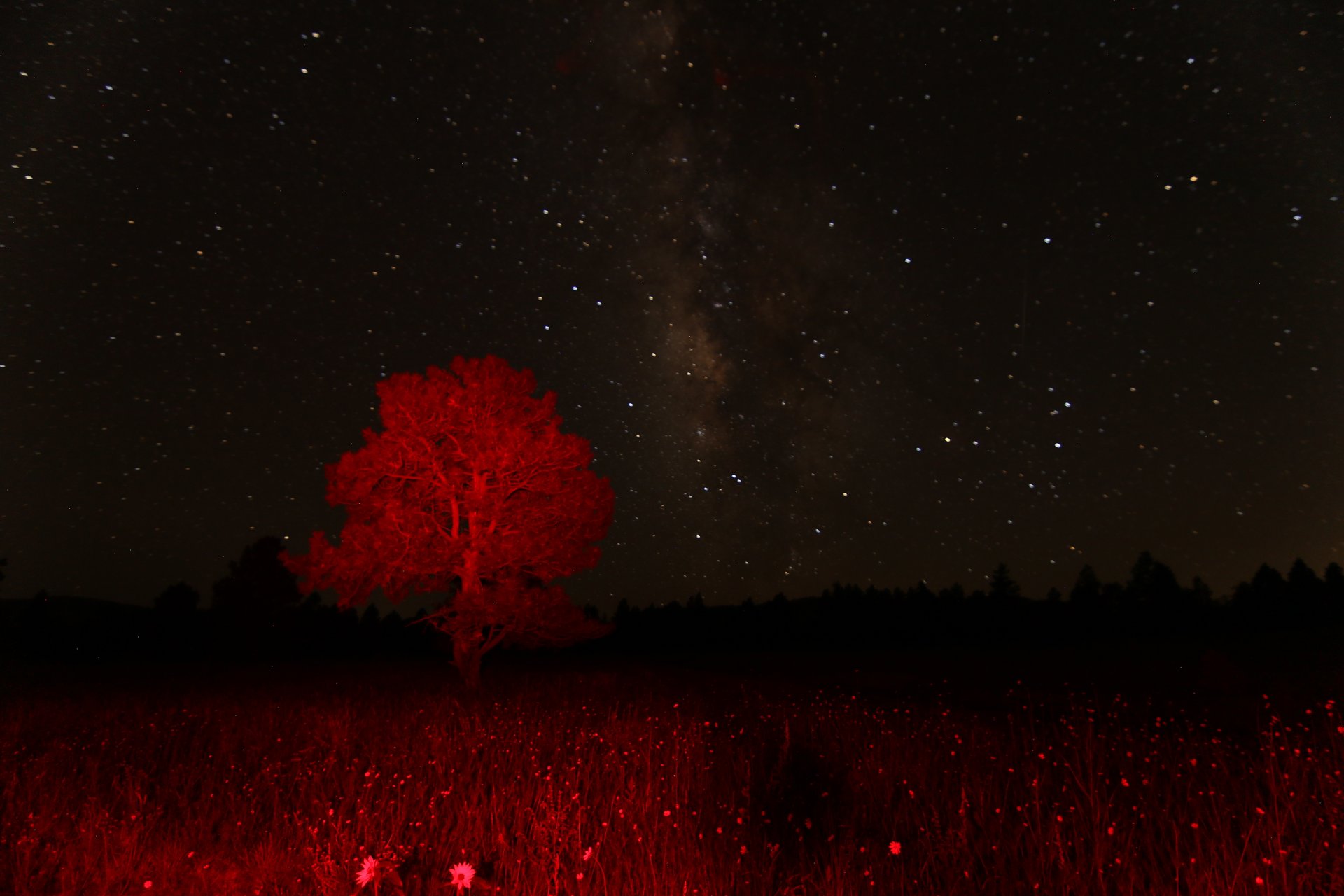 7D_43715.JPG