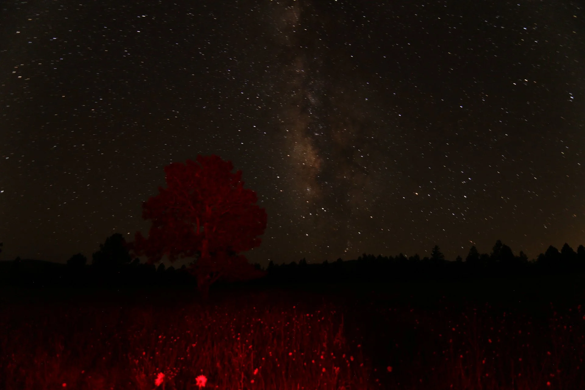 7D_43716.webp