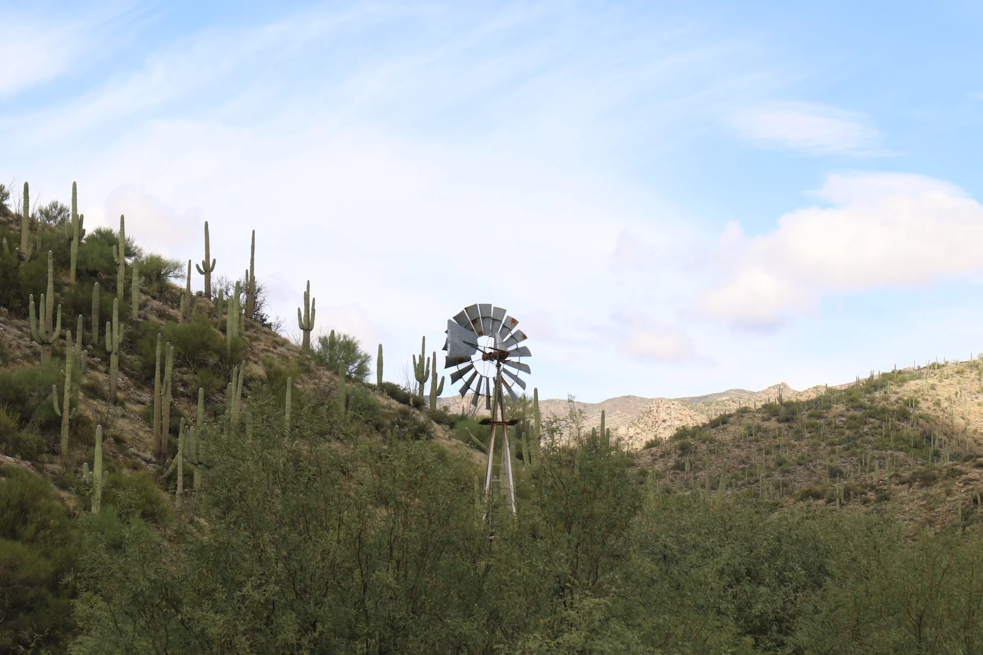 7D_44114 a-Small.webp