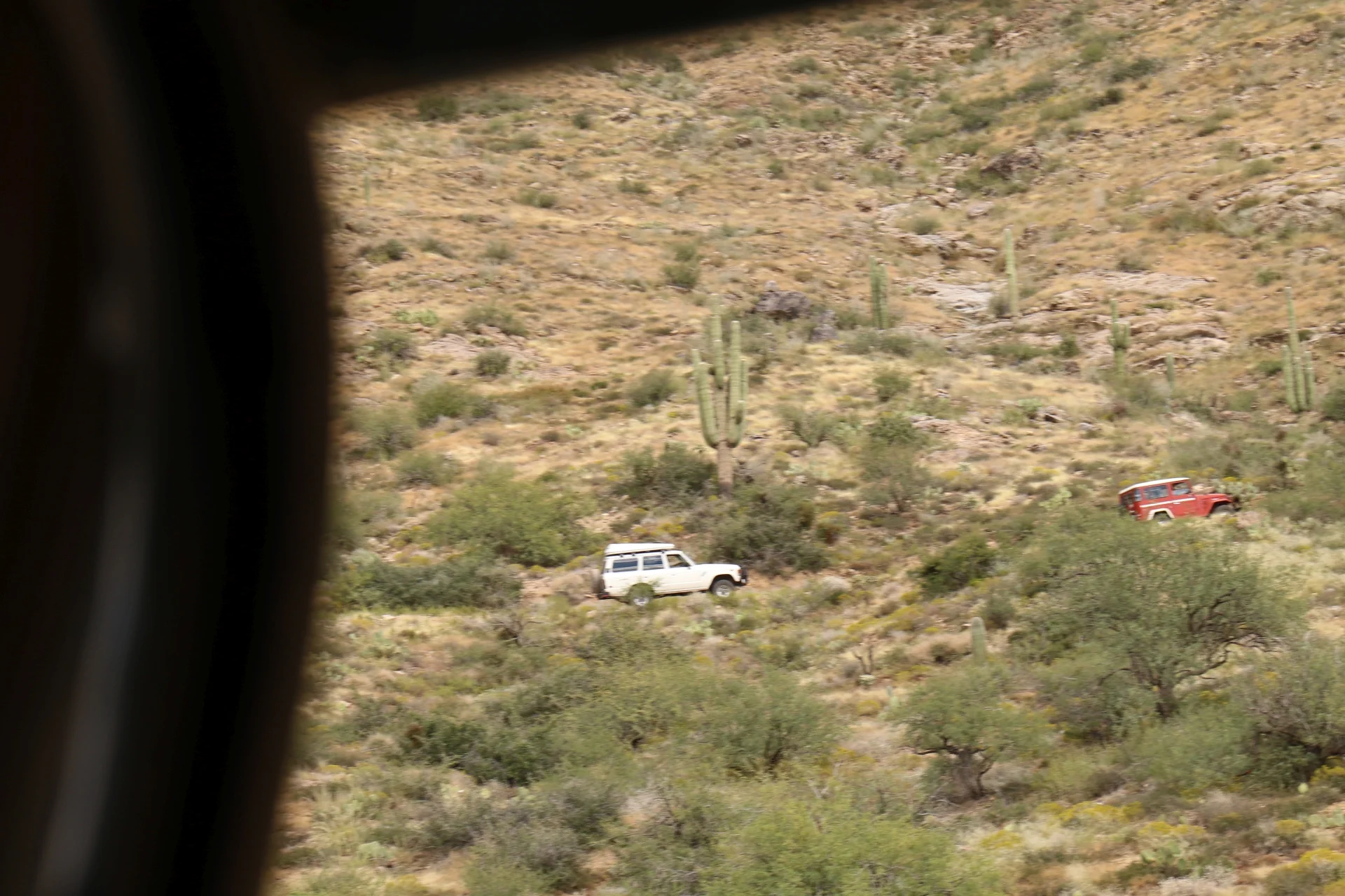 7D_44122-Small.webp