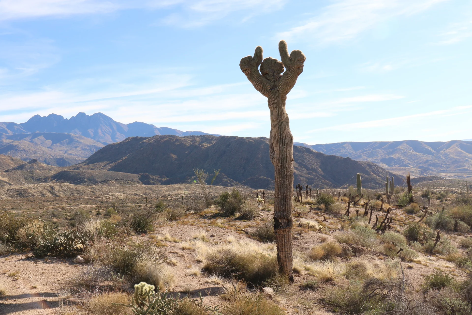 7D_44428-Small.webp