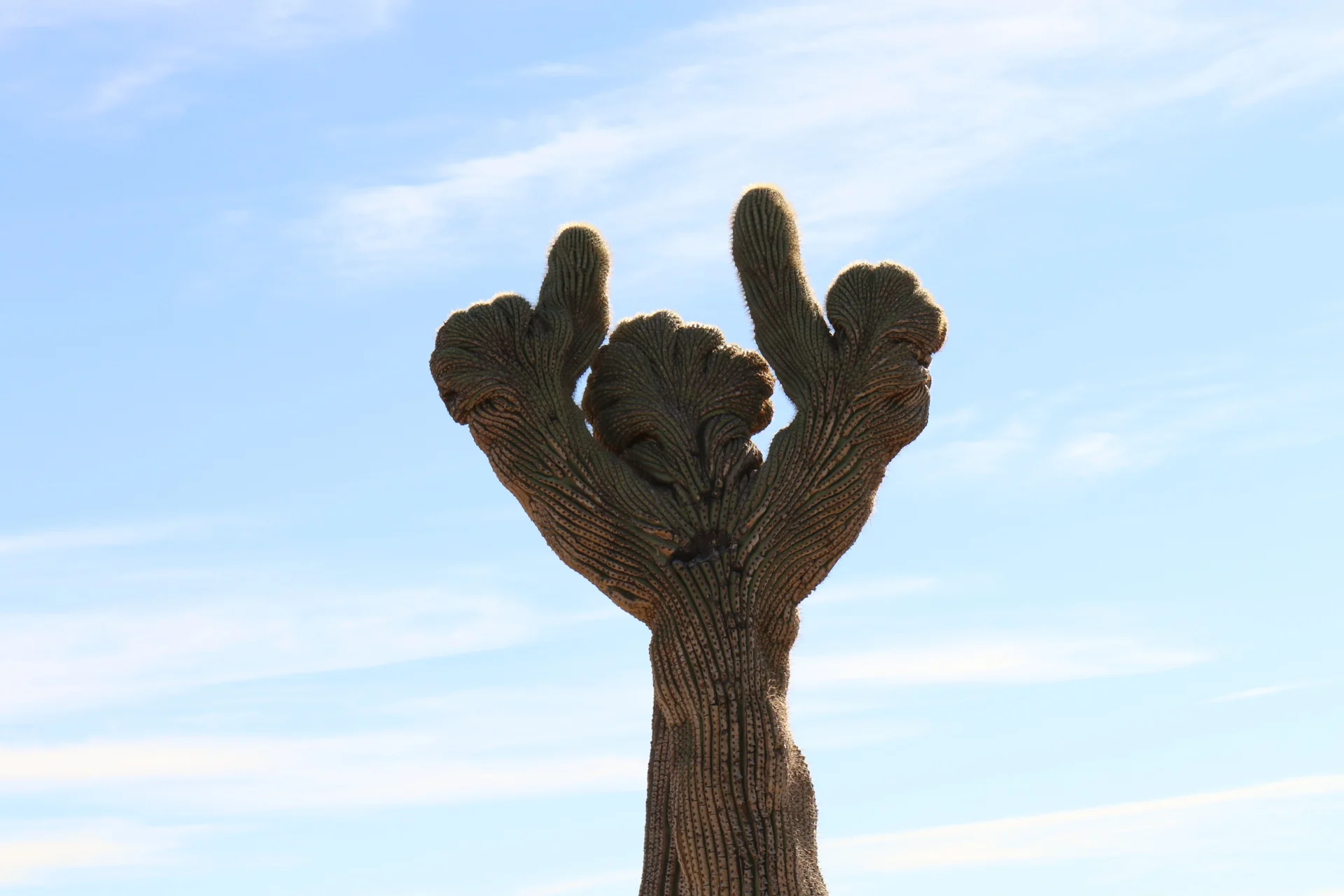 7D_44429-Small.webp