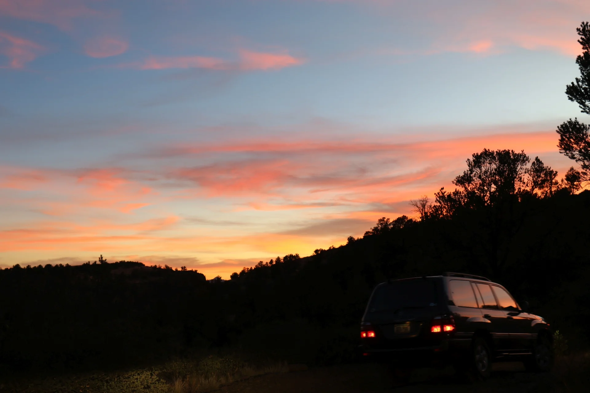 7D_44471-Small.webp