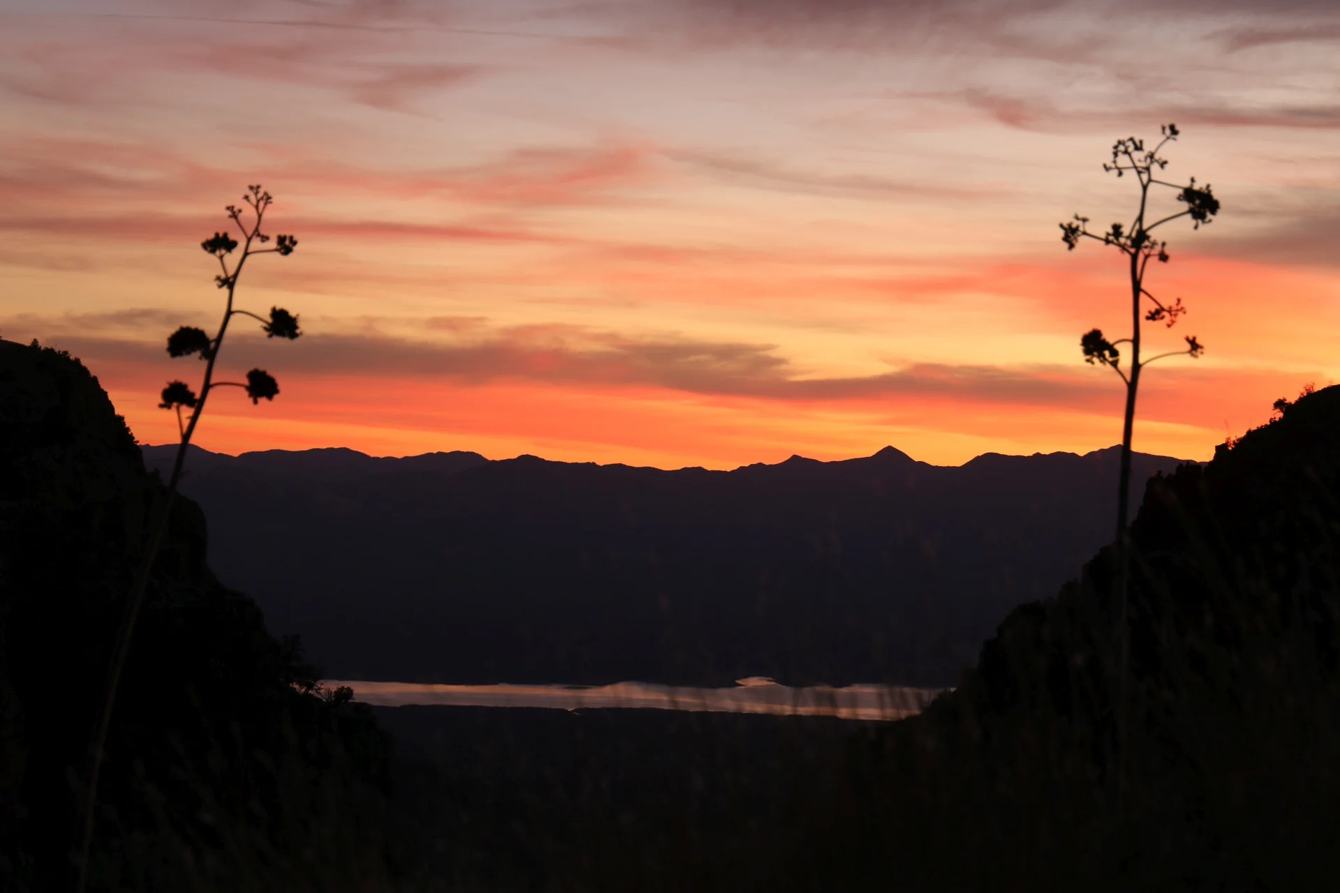 7D_44473-Small.webp
