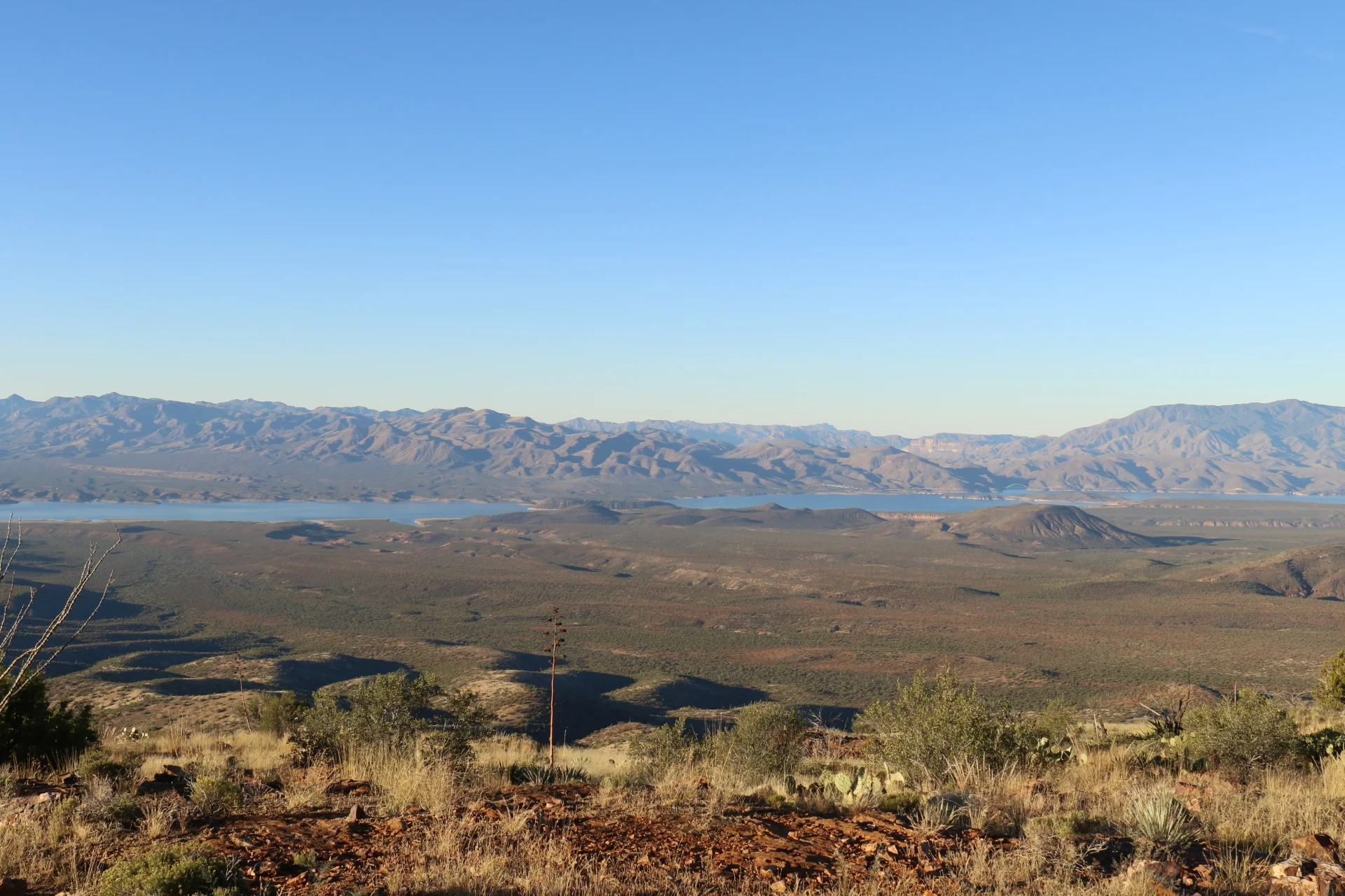 7D_44495-Small.webp