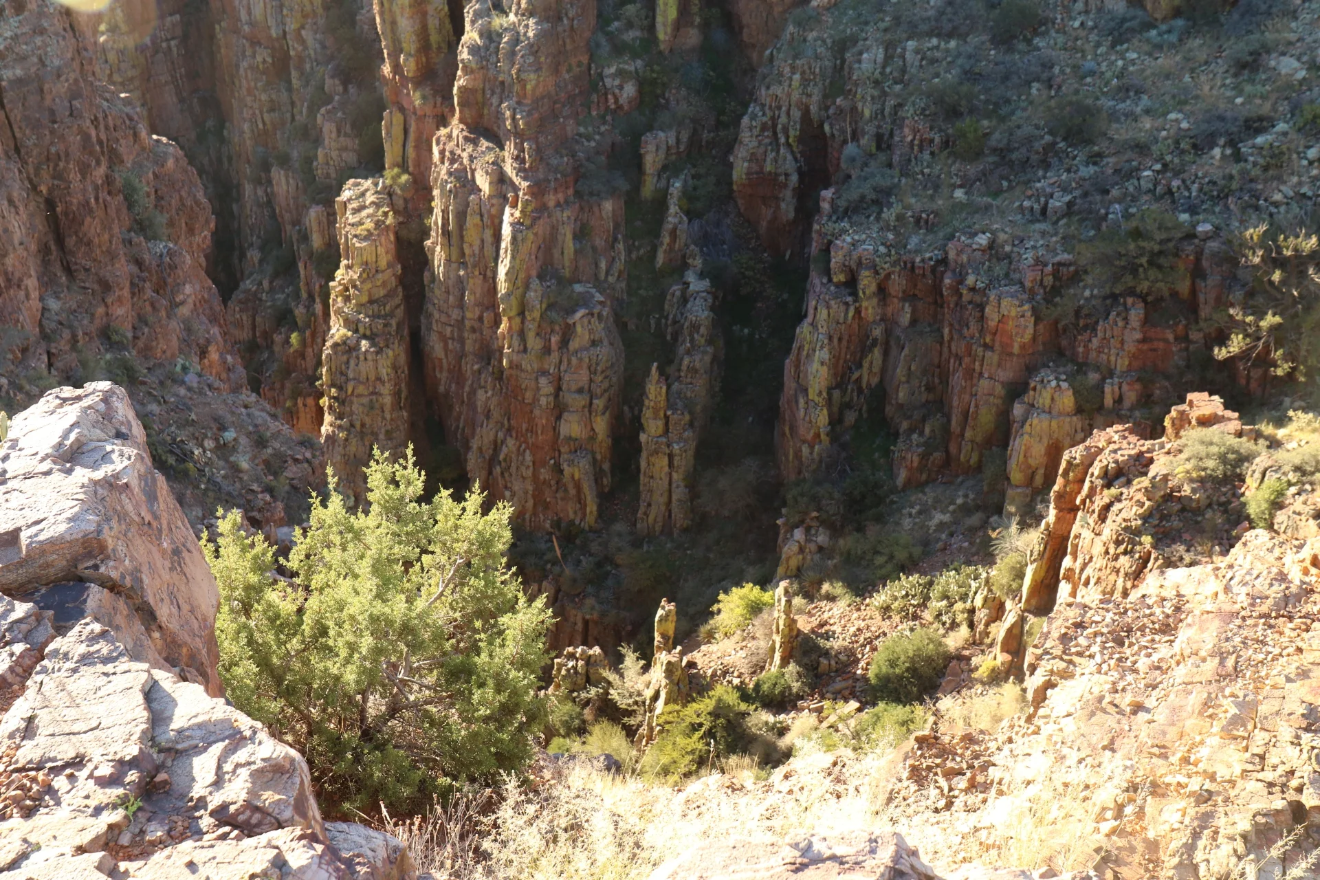 7D_44500-Small.webp