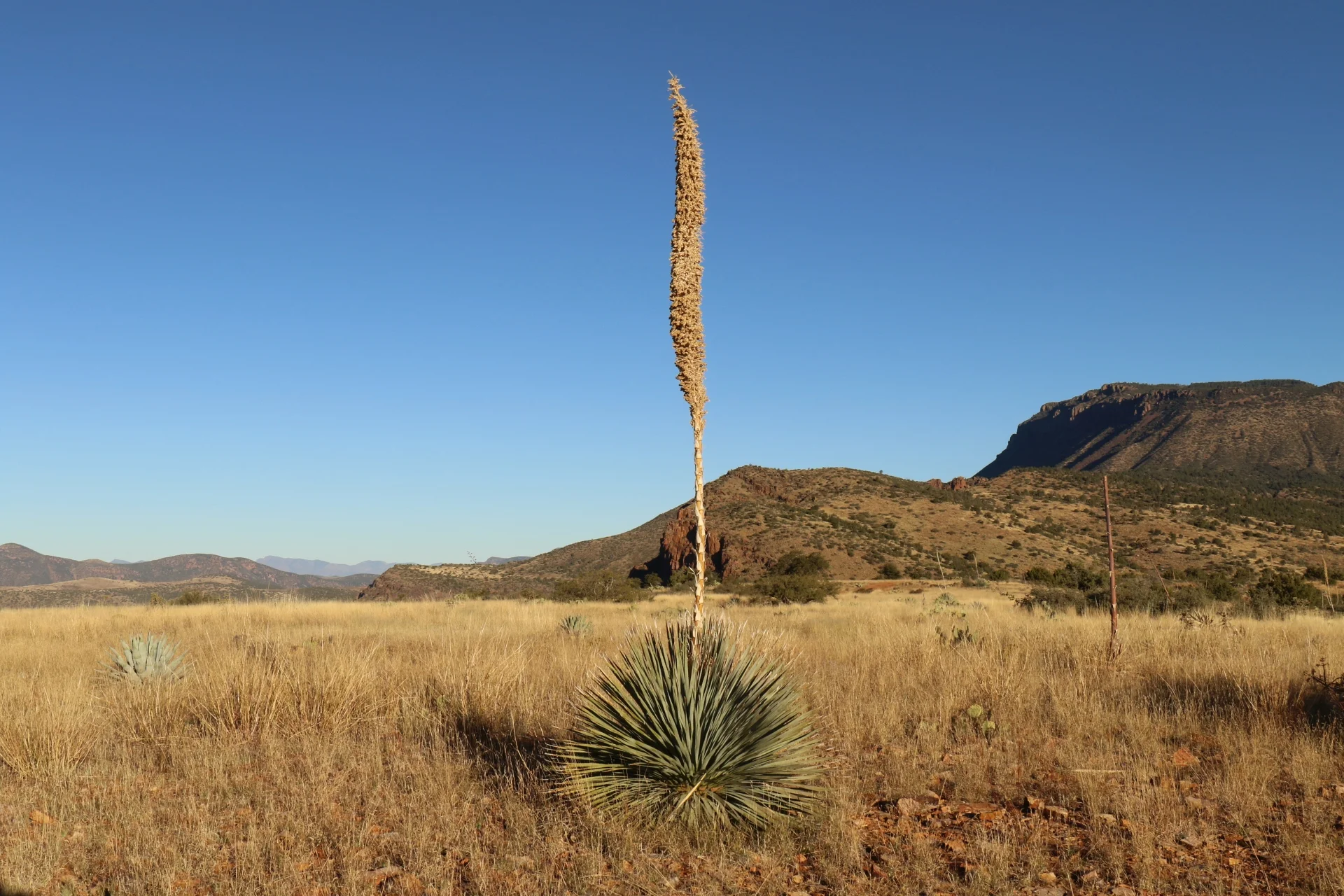 7D_44507-Small.webp