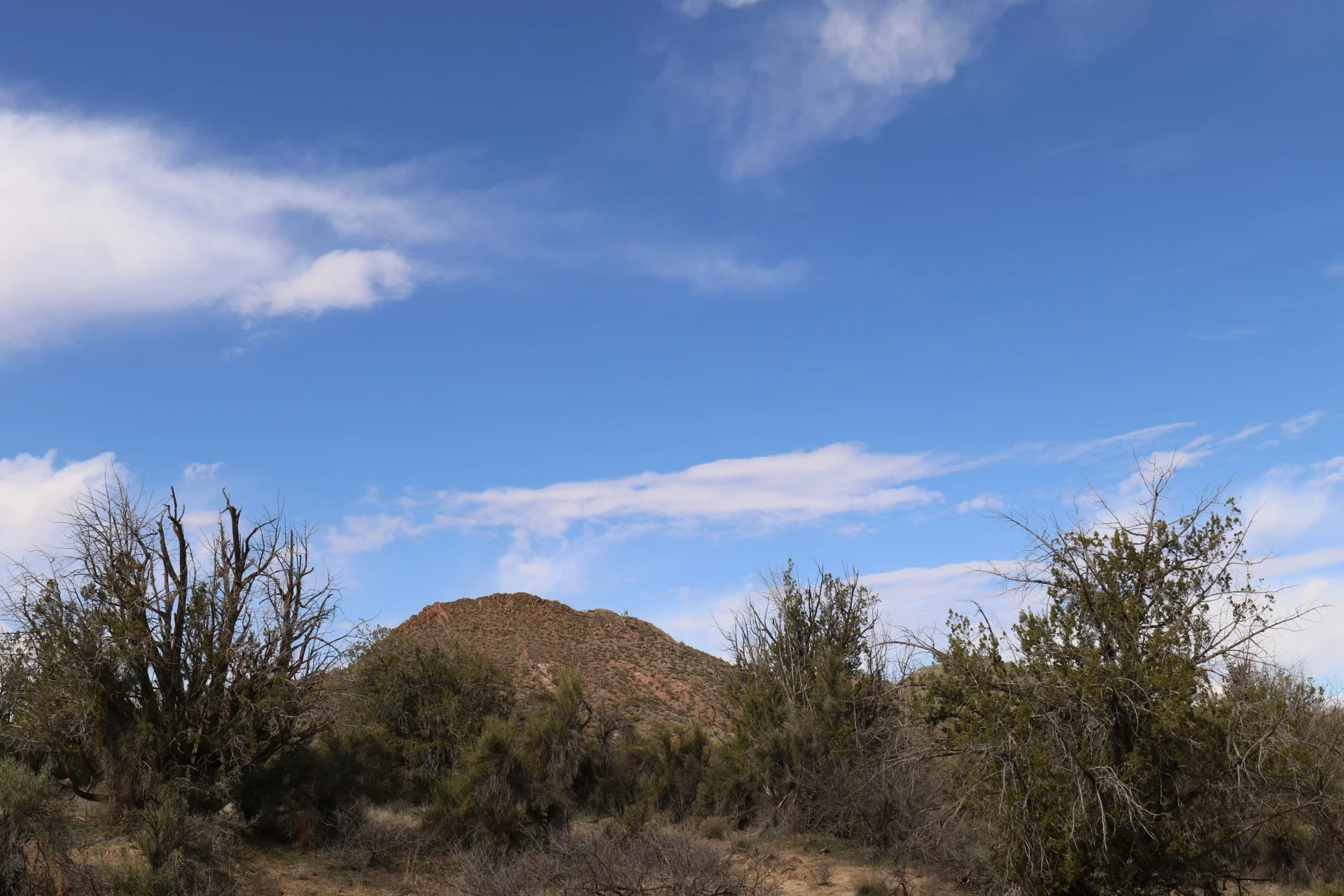 7D_44970-Small.webp