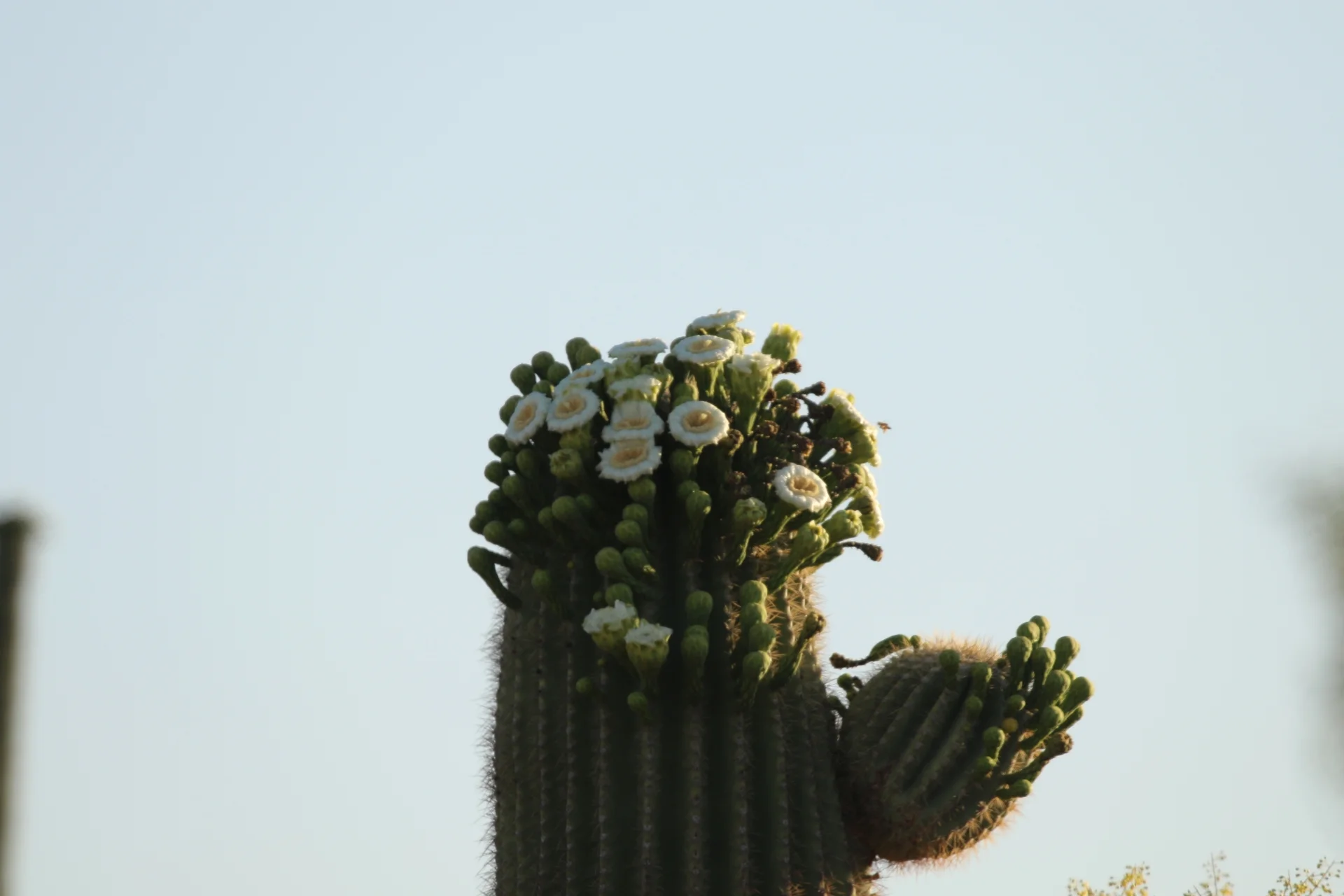 7D_45458-Small.webp