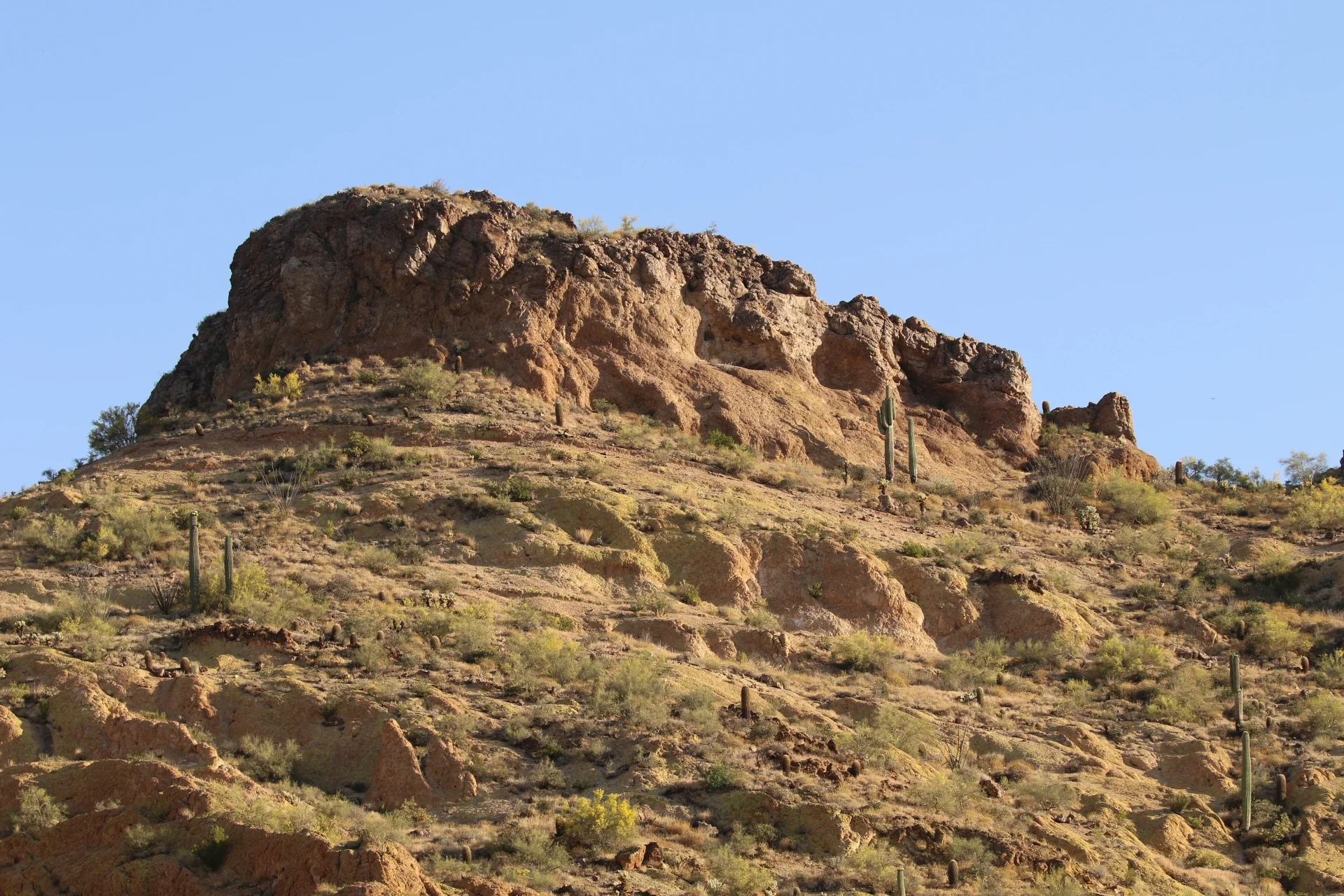 7D_45472-Small.webp