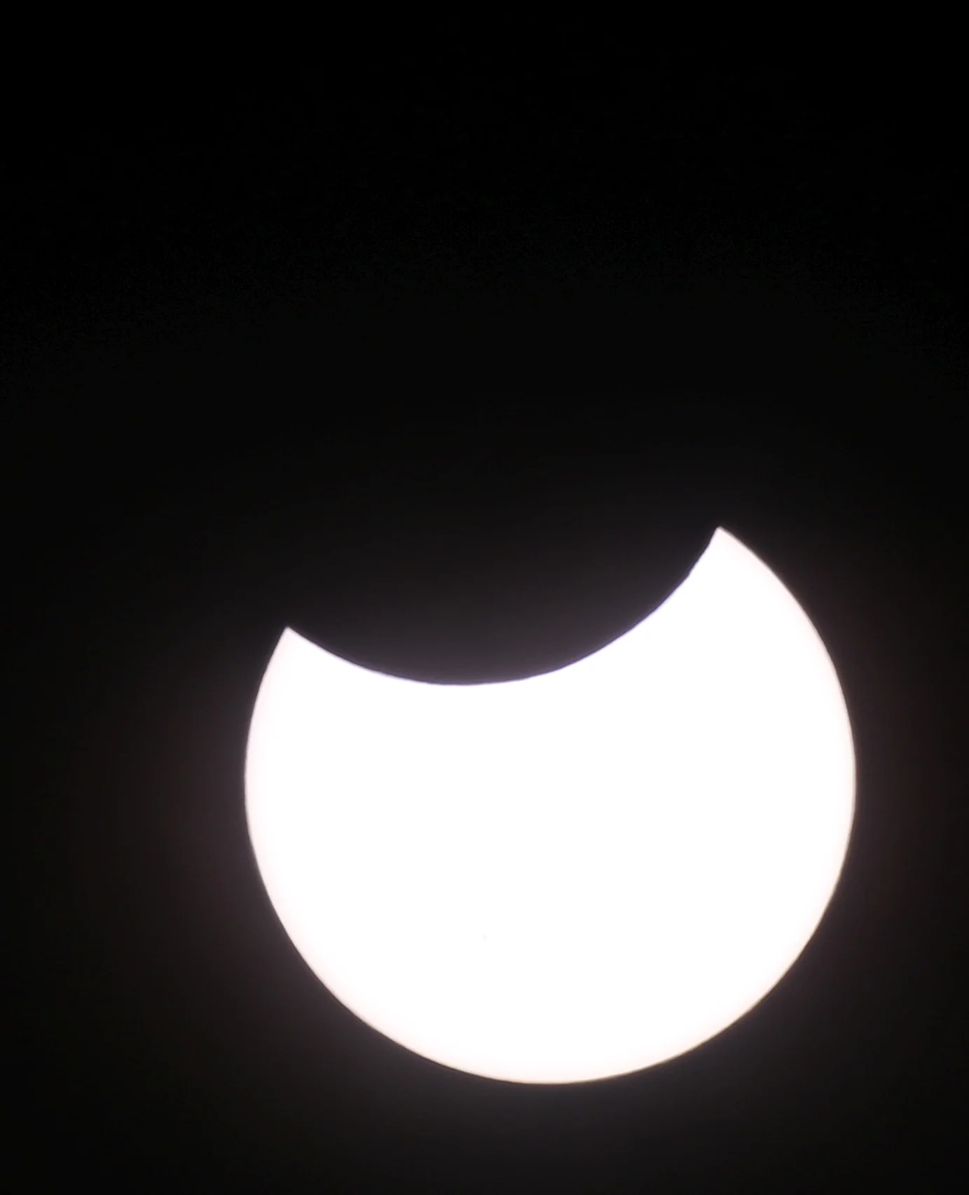 7D_45819c.webp
