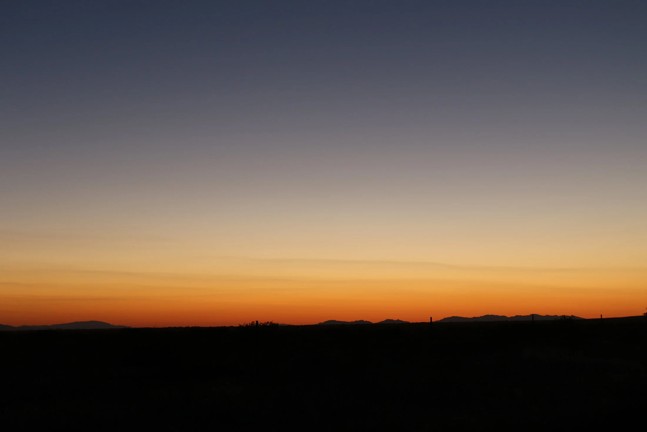 7D_46493.webp