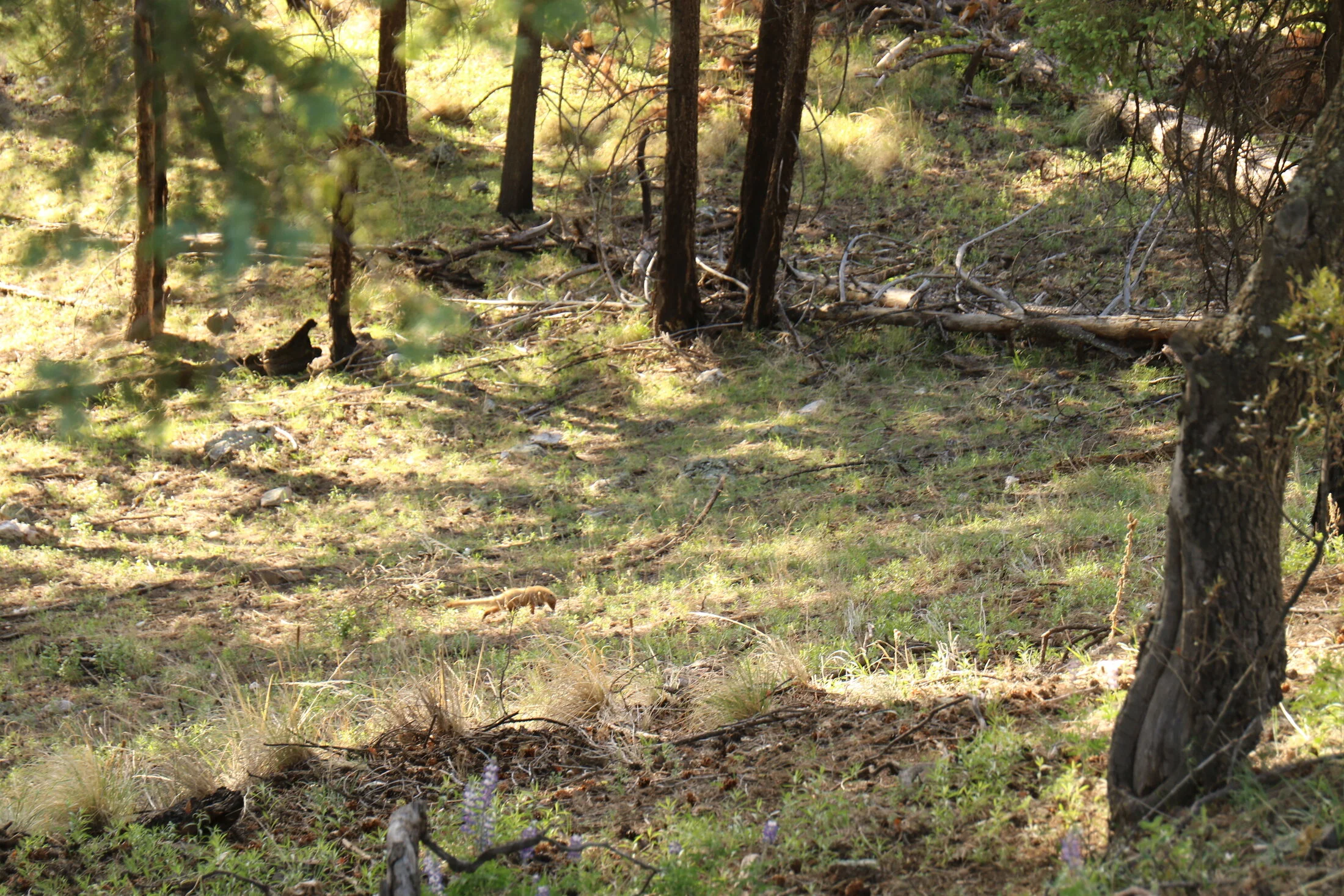 7D_46512.webp