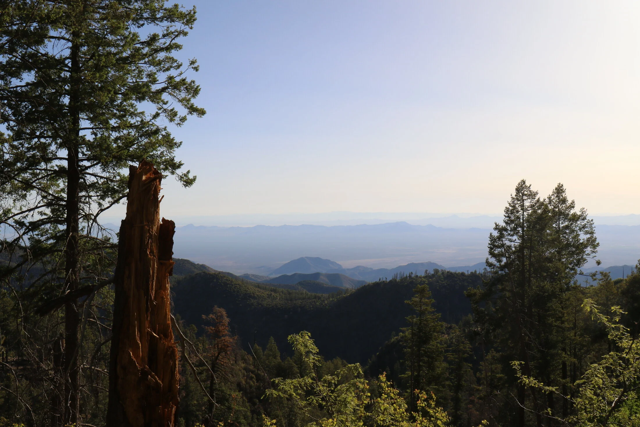 7D_46524.webp