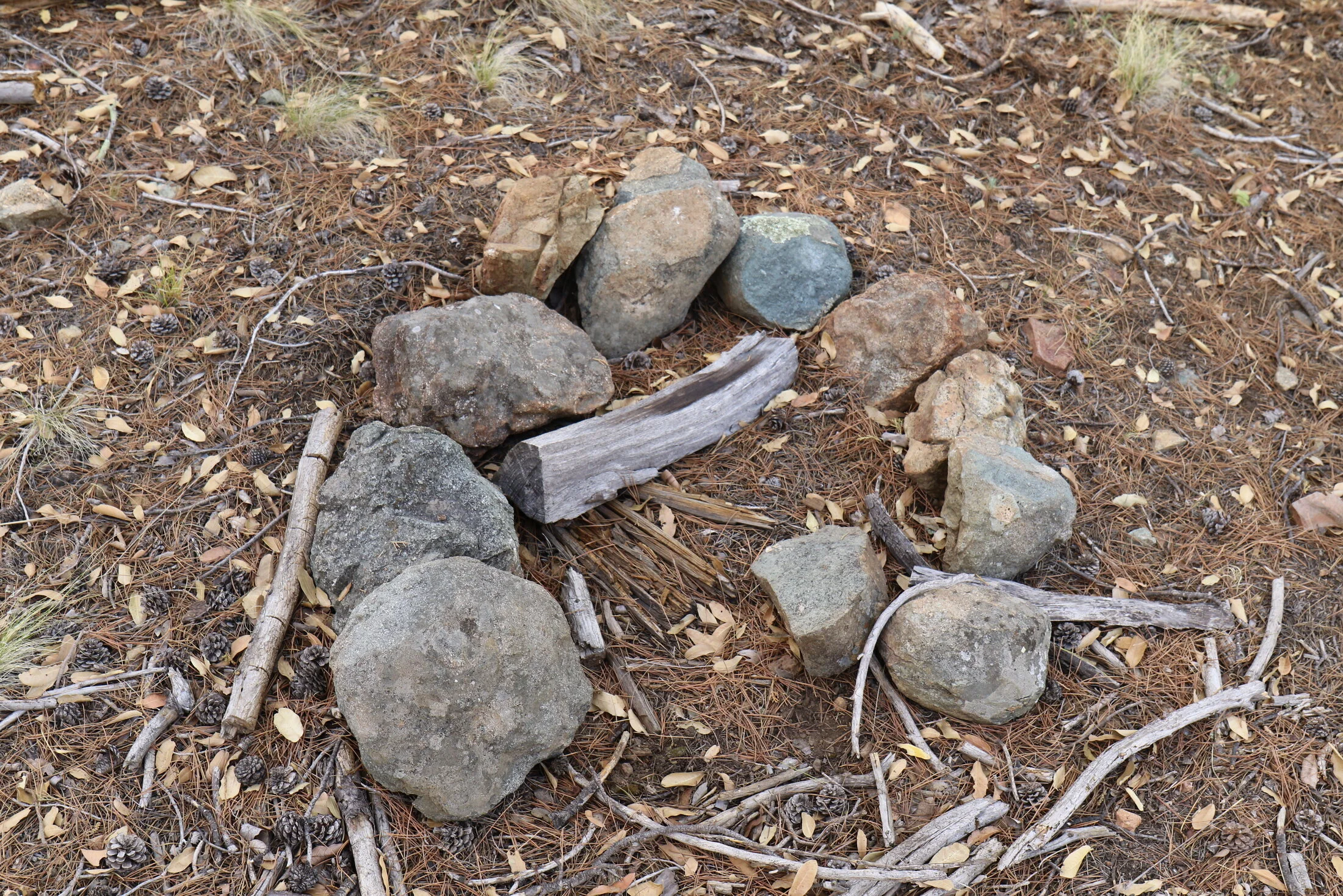 7D_46531.webp