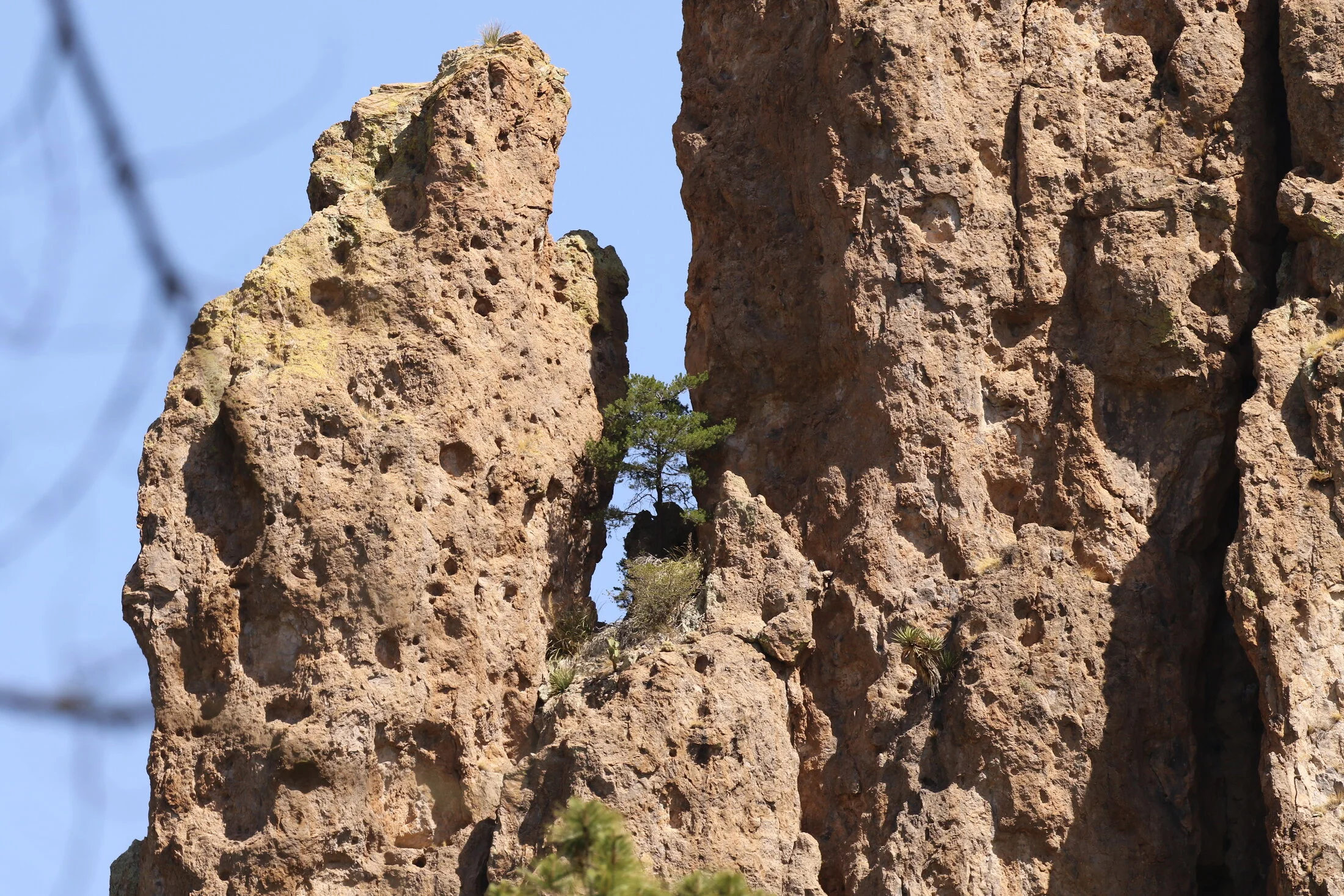 7D_46544.webp