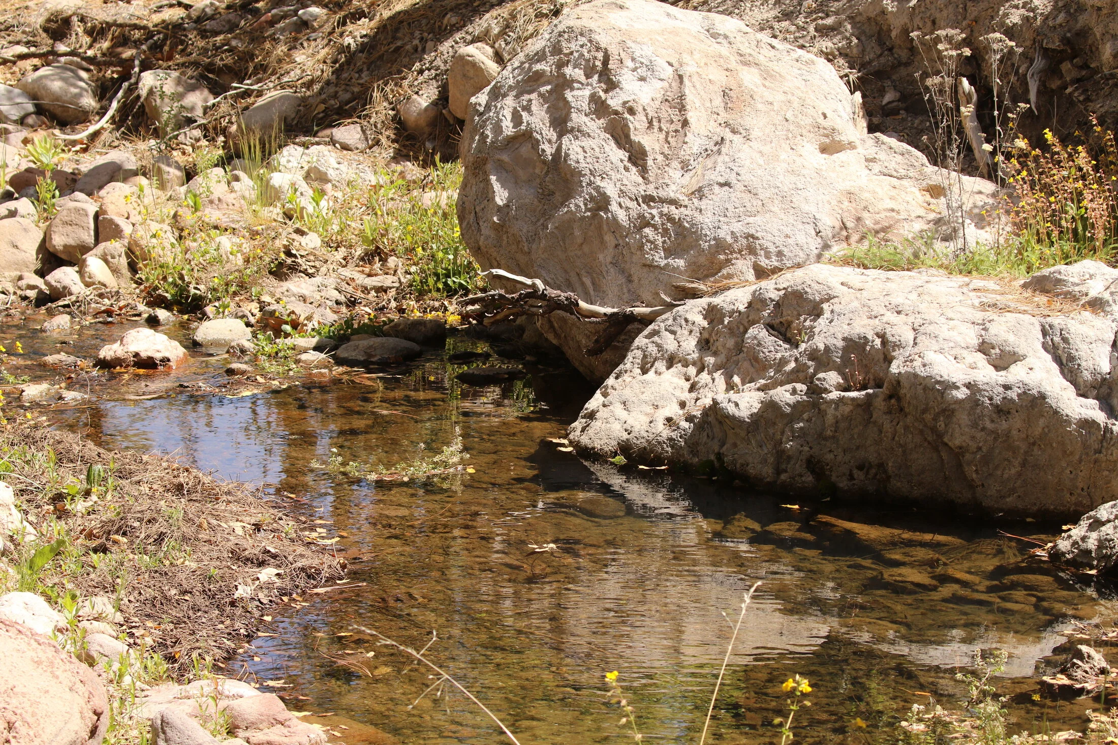 7D_46561.webp