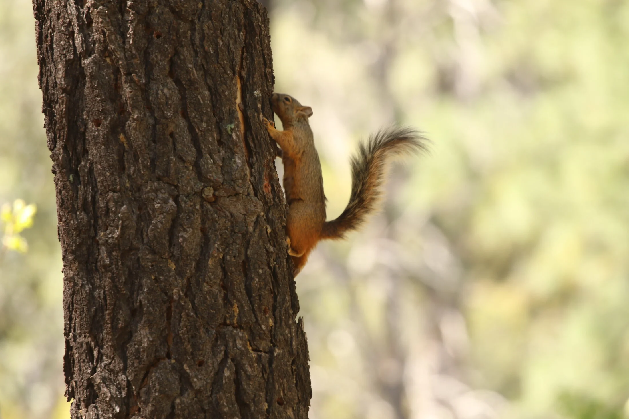 7D_46724.webp