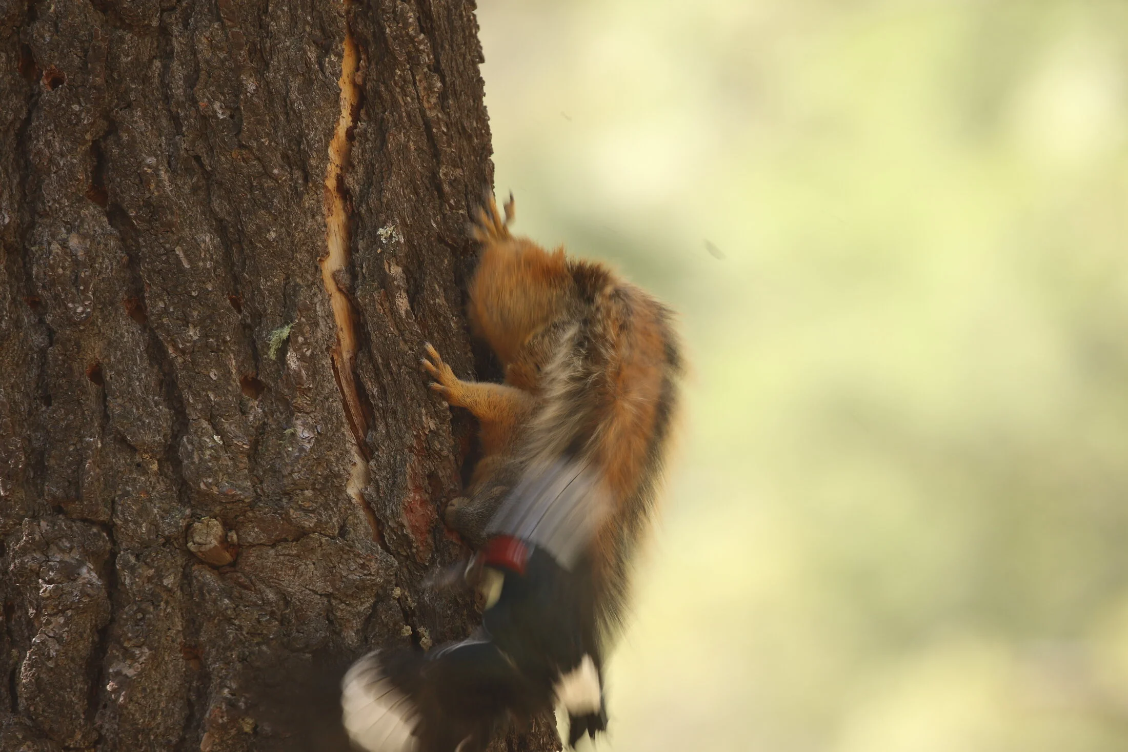 7D_46816.webp
