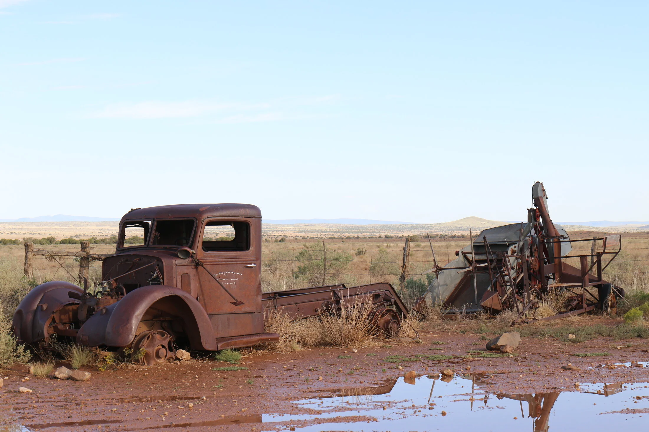 7D_48202.webp