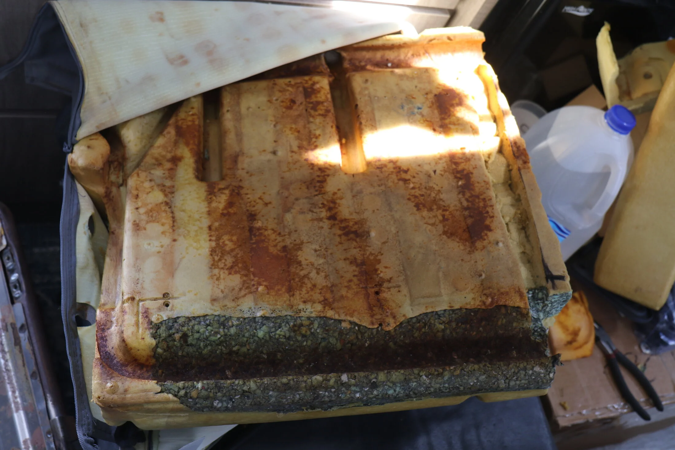 7D_49259.webp