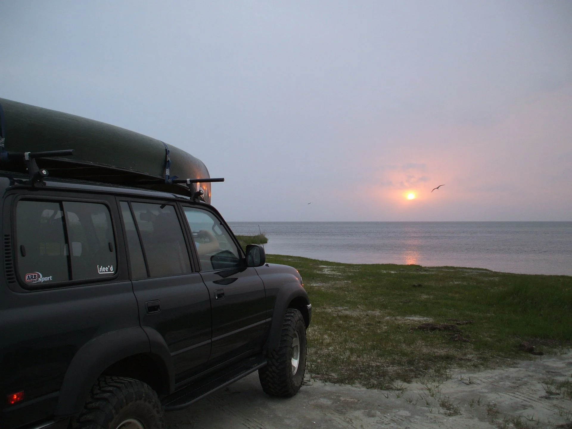 7F040169-1EE6-4D85-BA55-A69147CE6327.webp