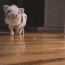 7F420D06-CF55-4786-B076-263BE6DB4AF2.gif