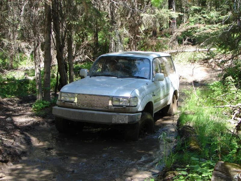 81 in the mud.webp