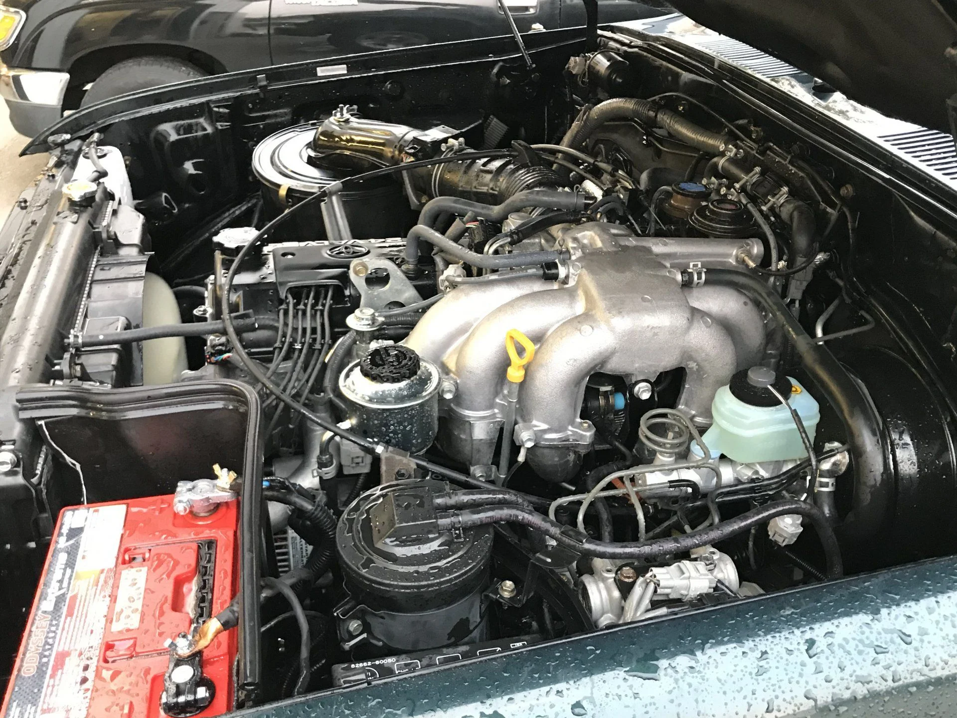 8421969A-EF42-4BD0-BA88-AE8FB6B25EA9.webp