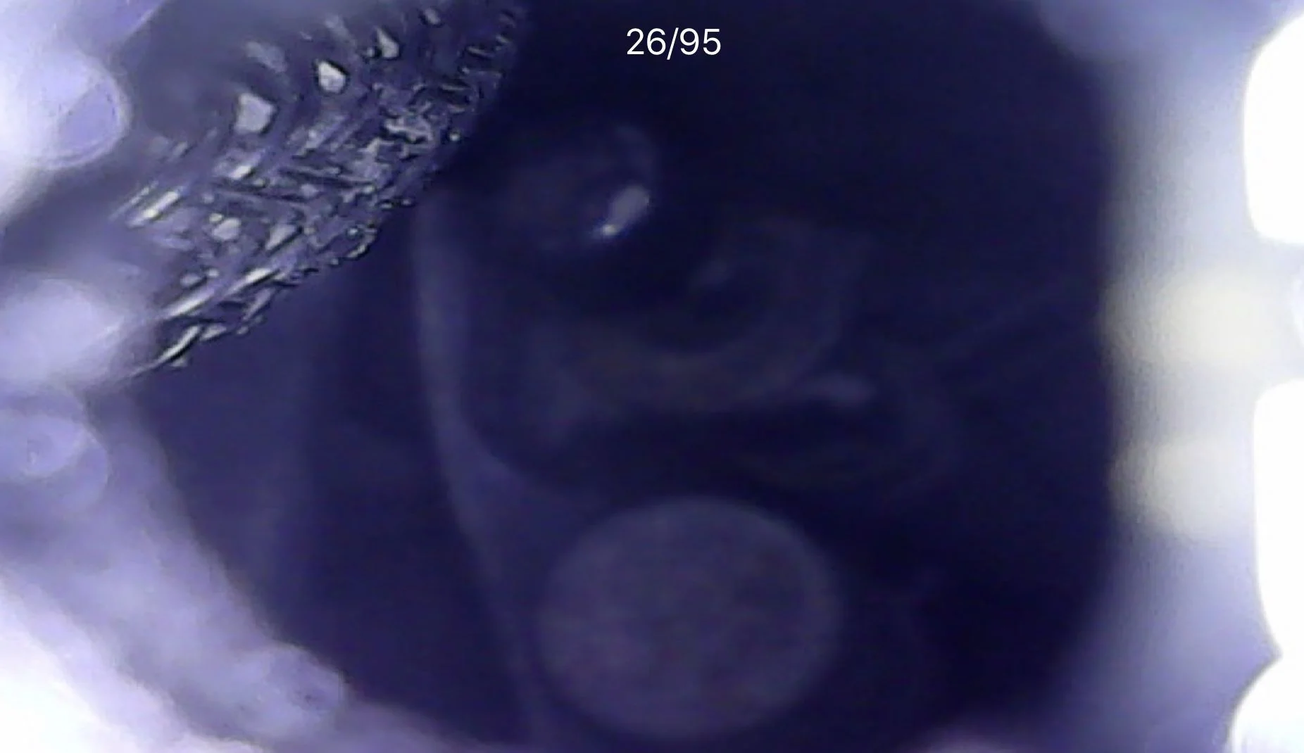 850406C0-7B33-4ADE-A595-BF74FE98C55F.jpeg